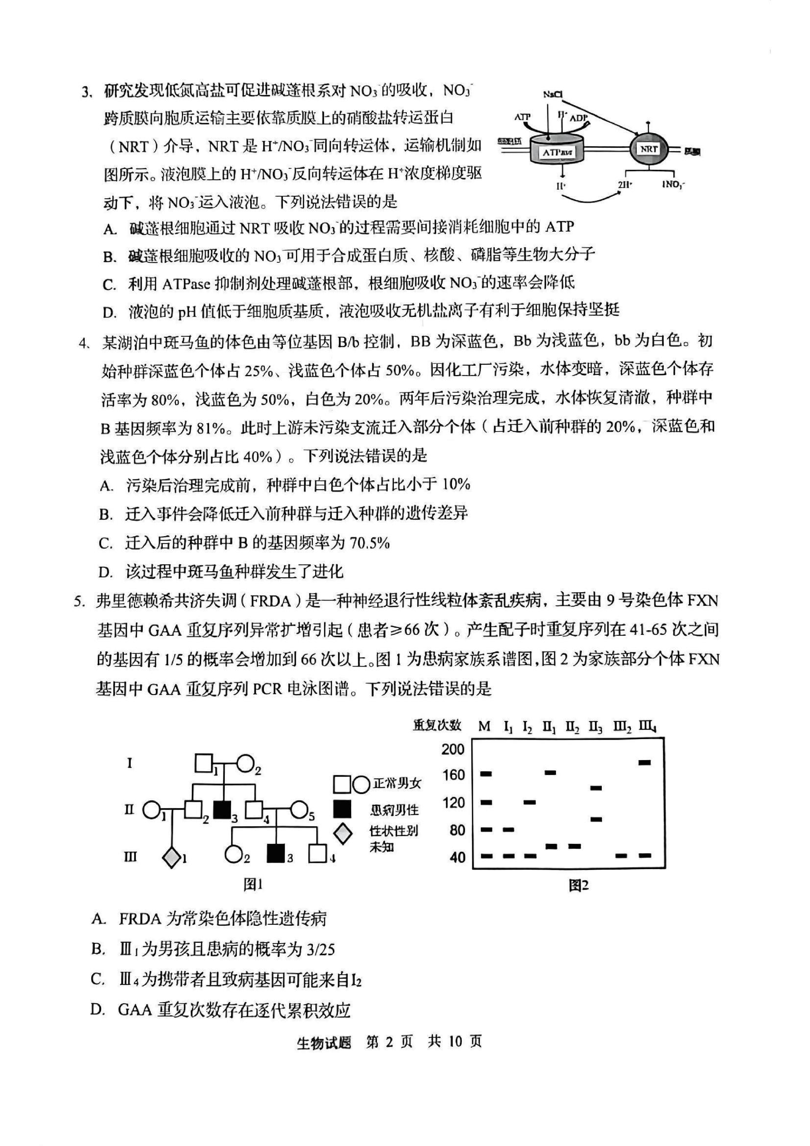 山东2025届高三青岛一模生物试题.pdf 第2页