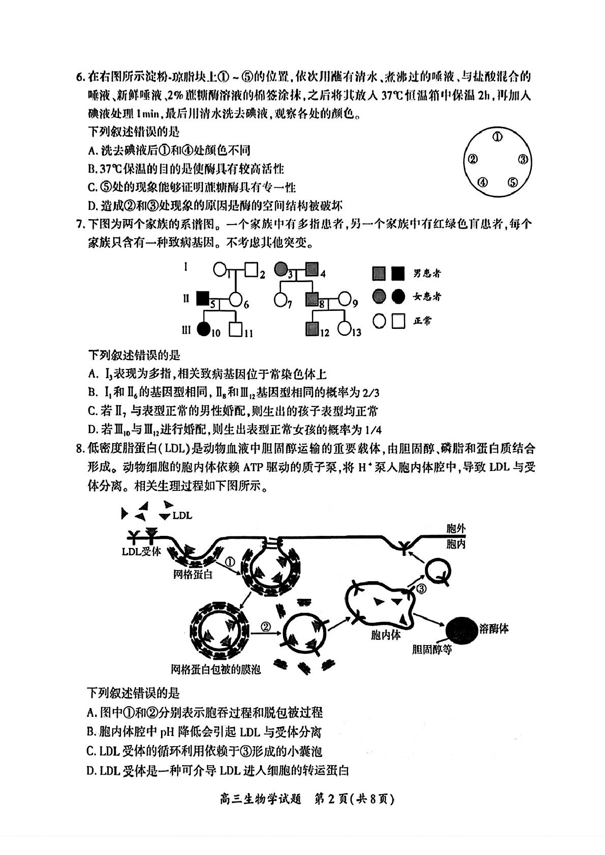 厦门市2025届高三毕业班第二次质量检测生物试题（含答案）.pdf 第2页