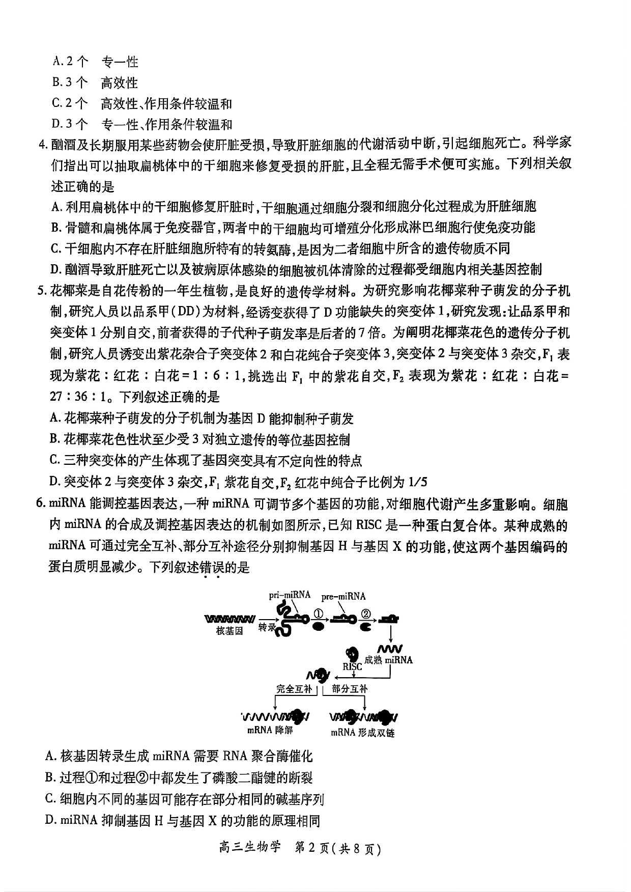 江西稳派智慧上进联考2025届高三二轮总复习阶段检测生物.pdf 第2页