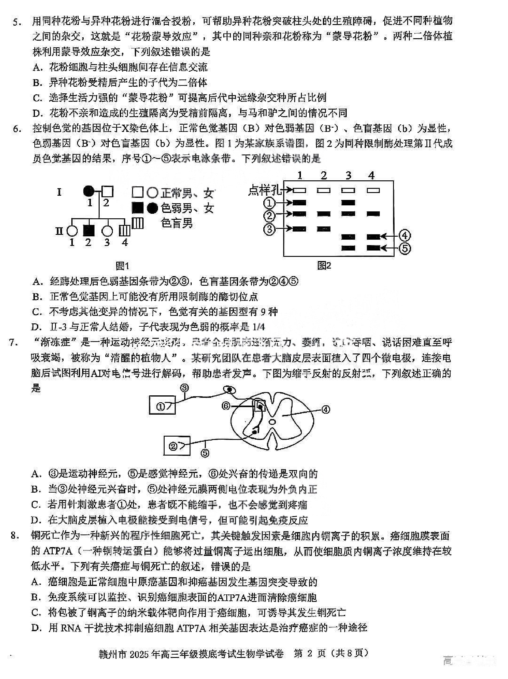 江西赣州一模2025年高三年级摸底考试生物试题.pdf 第2页