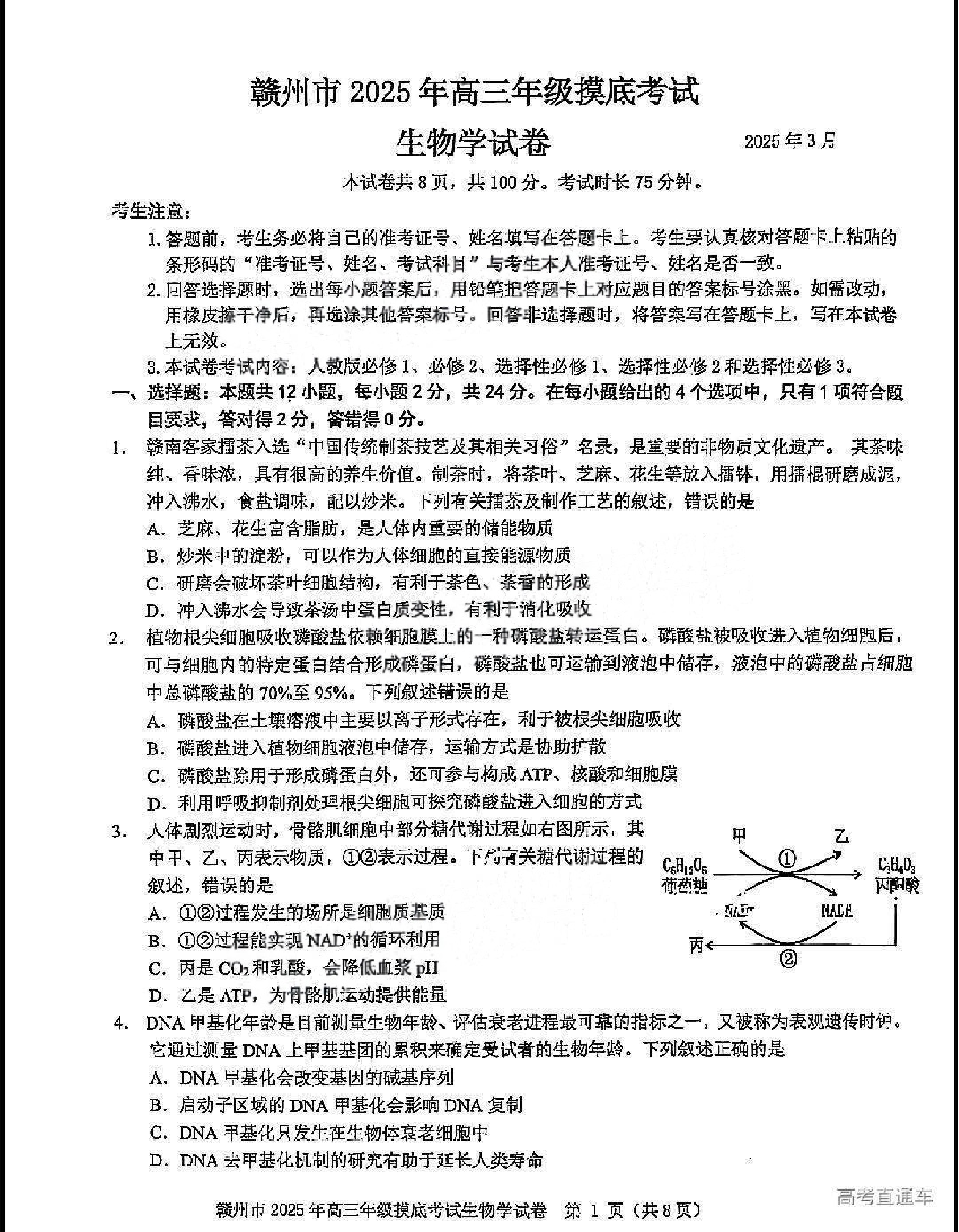 江西赣州一模2025年高三年级摸底考试生物试题.pdf 第1页