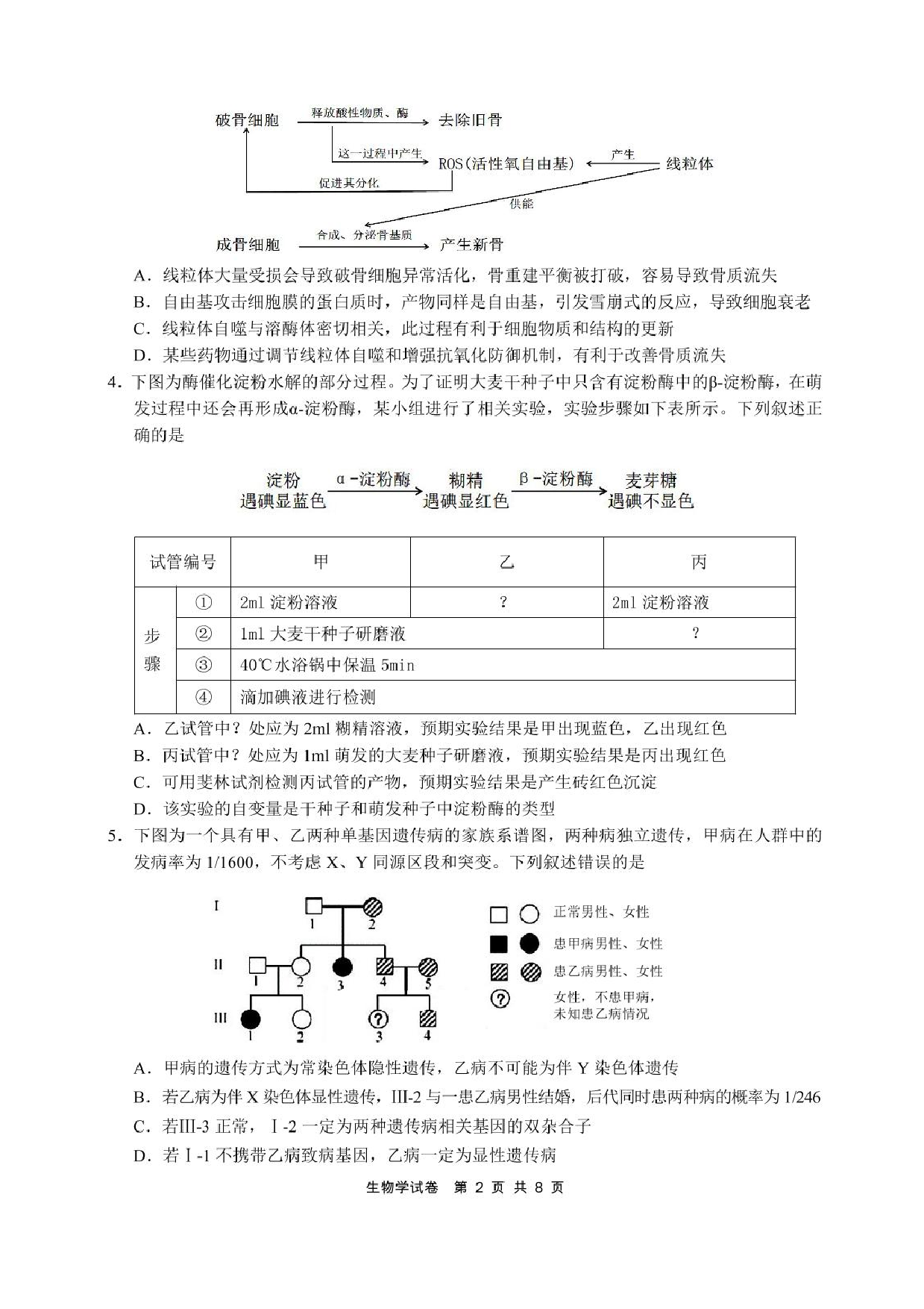 安徽省江南十校2025届高三下学期第一次联考（一模）生物试题+答案.pdf 第2页
