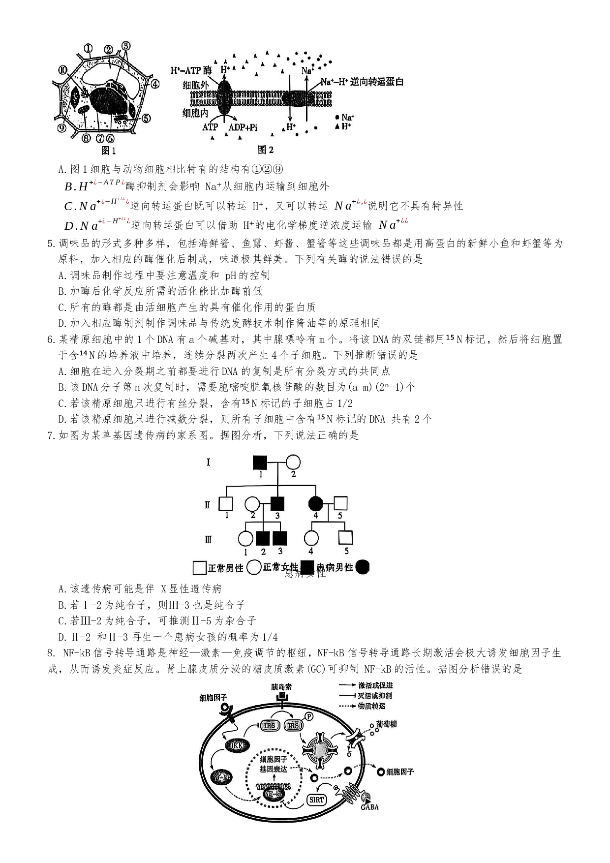 湖南省长沙市第一中学2024-2025学年高三下学期月考（七）生物试题.docx 第2页