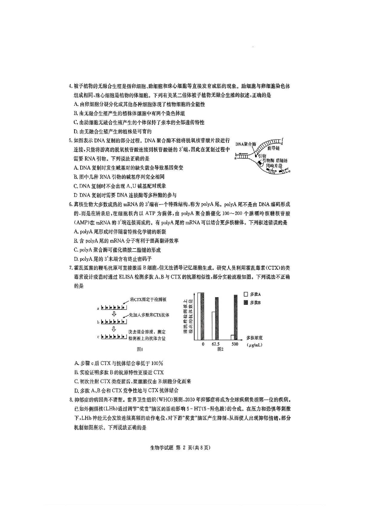 湖南省炎德英才九校联盟2025届高三第二次联考生物试题及答案.pdf 第2页