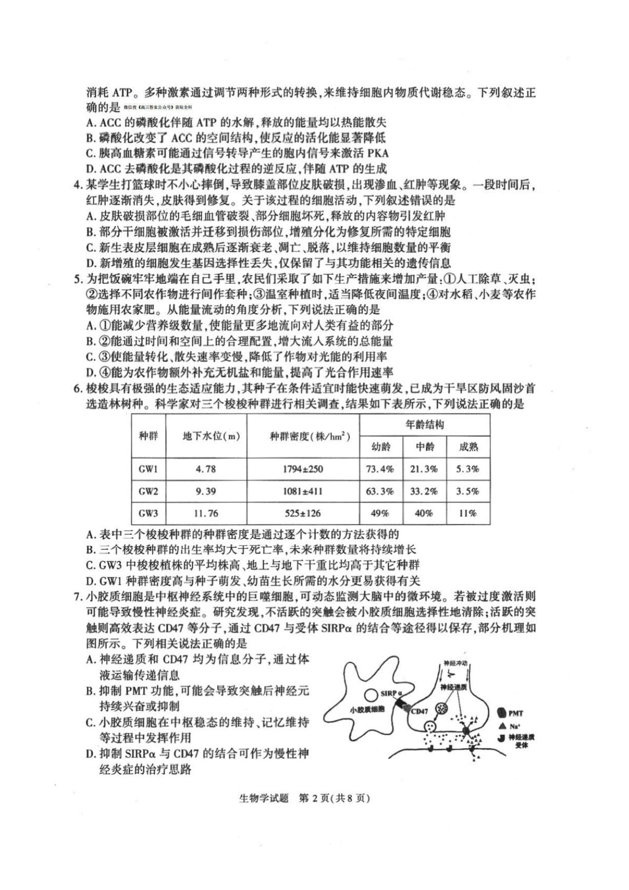 安徽省2025年合肥二模生物试题及答案.pdf 第2页