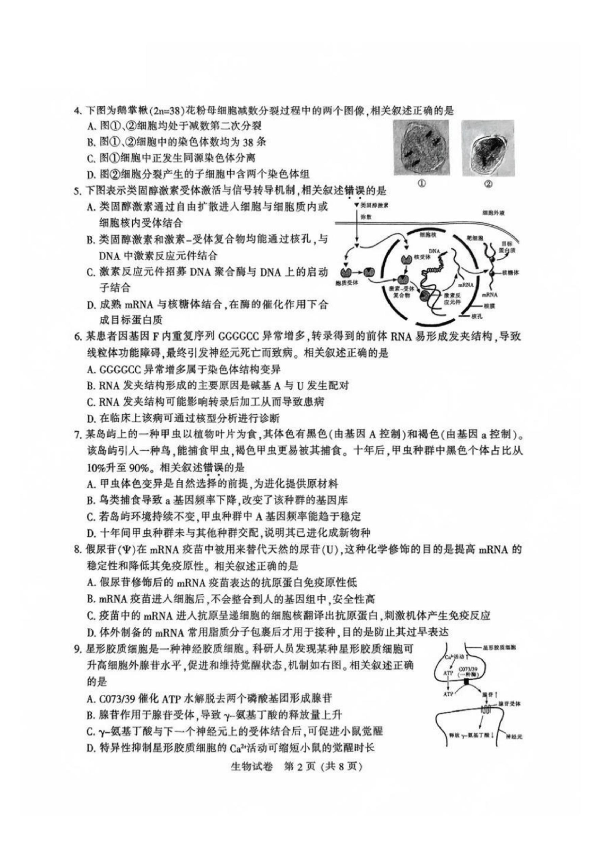 南通二模（苏北七市二模）2025届高三第二次调研测试生物试题及答案.pdf 第2页
