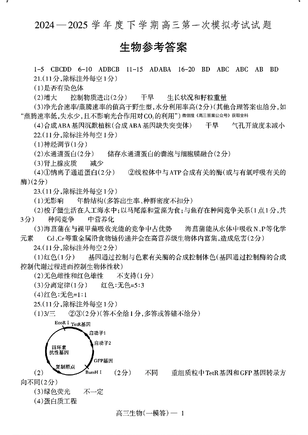 辽宁协作校2025届高三一模生物答案.pdf 第1页
