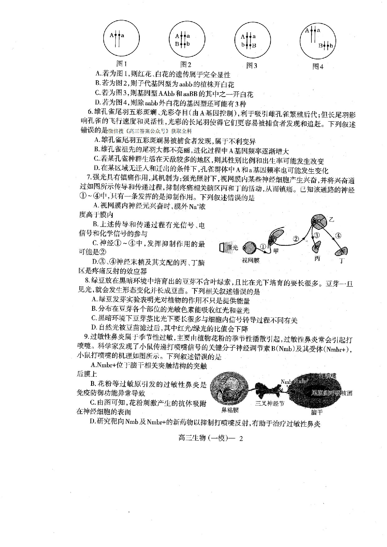 辽宁协作校2025届高三一模生物.pdf 第2页