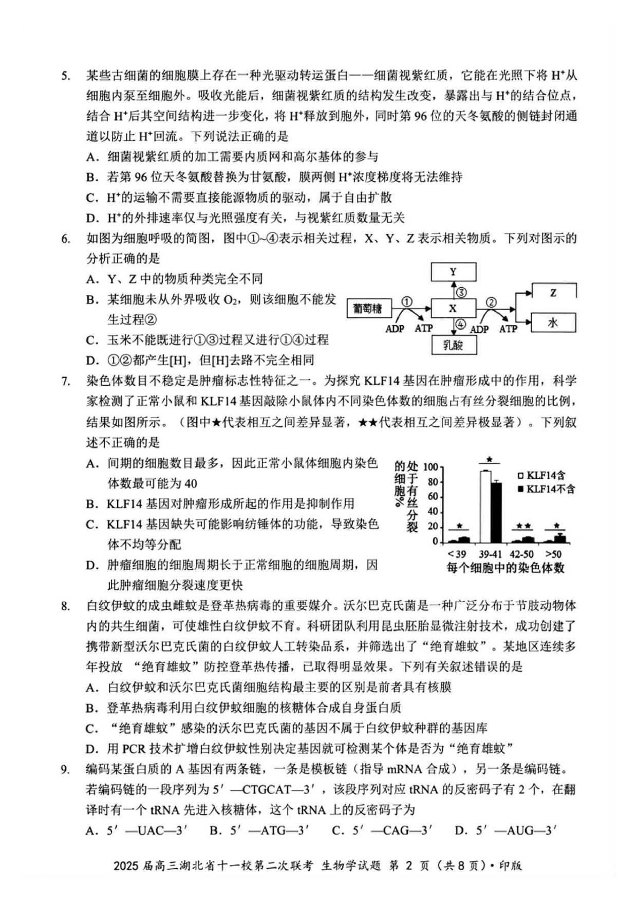 2025届高三湖北十一校第二次联考生物试题及答案.pdf 第2页