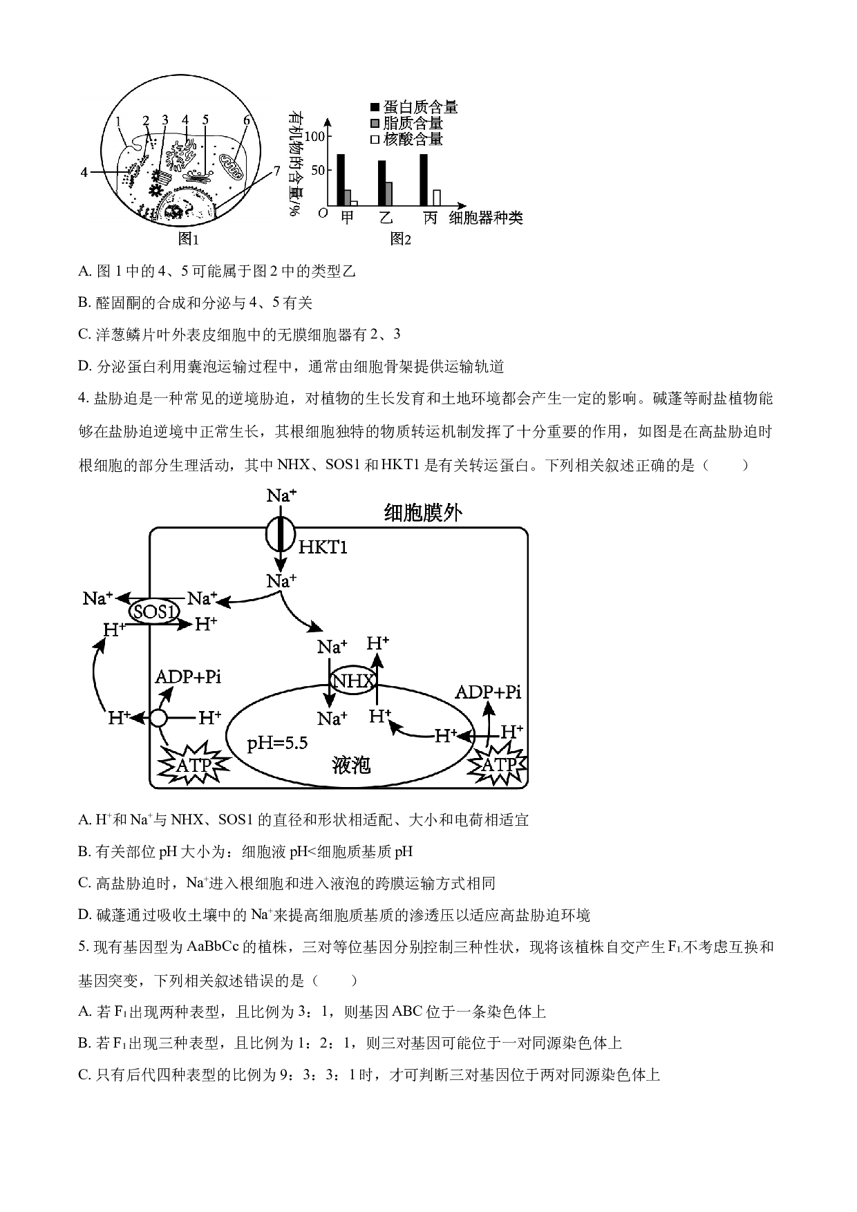 2025届黑龙江省齐齐哈尔市高三下学期一模生物学试题（含答案）.docx 第2页