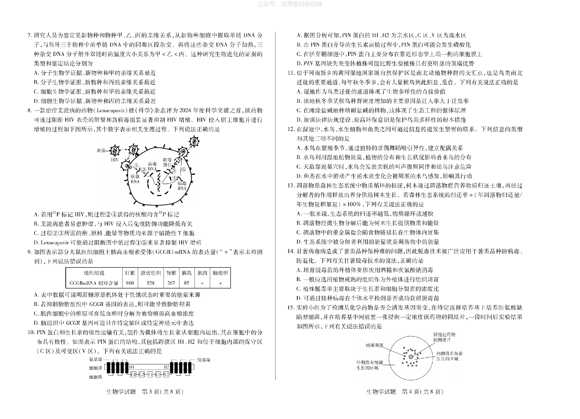 生物（河南版）天一大联考2024-2025学年高中毕业班阶段性测试（六）.pdf 第2页