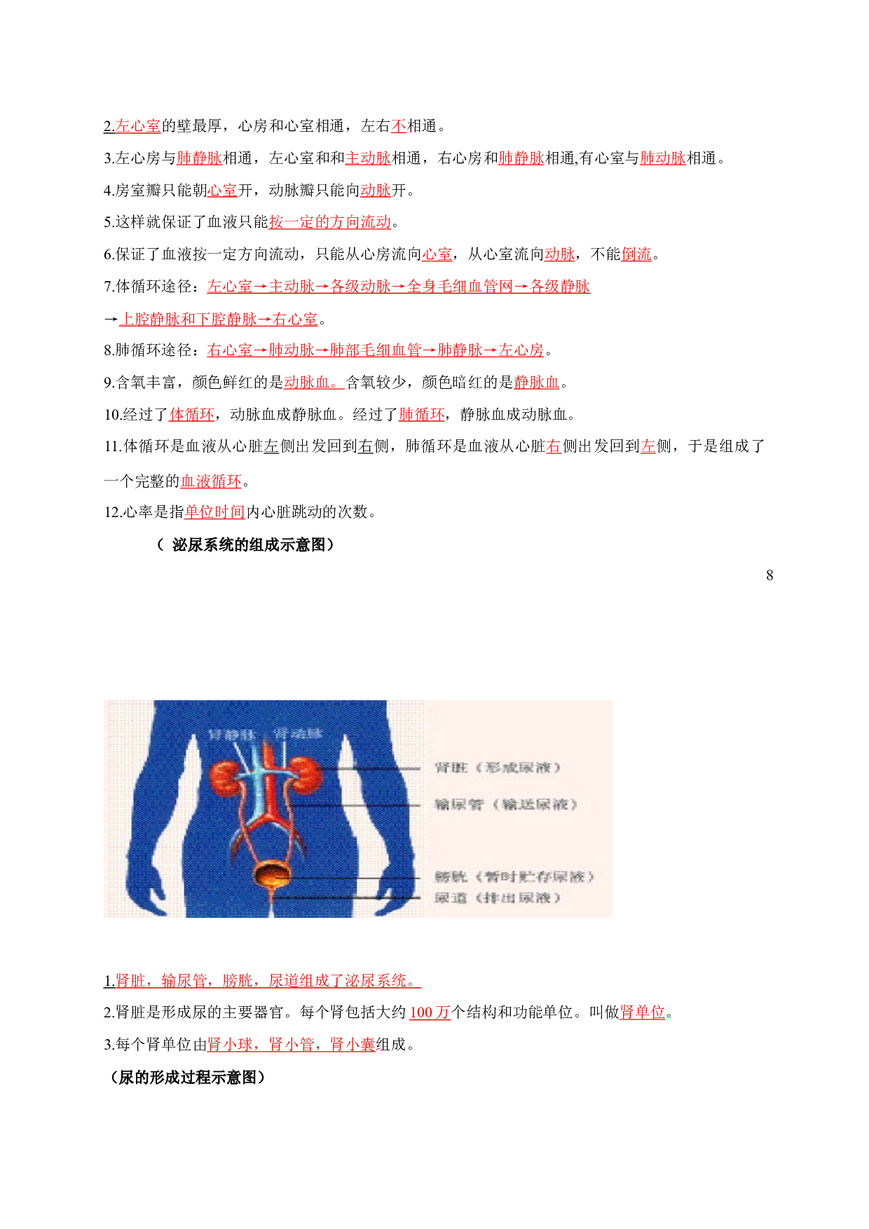 七年级下册识图知识突破-备战2024年中考生物复习重点难点易错点提分法宝.docx 第2页