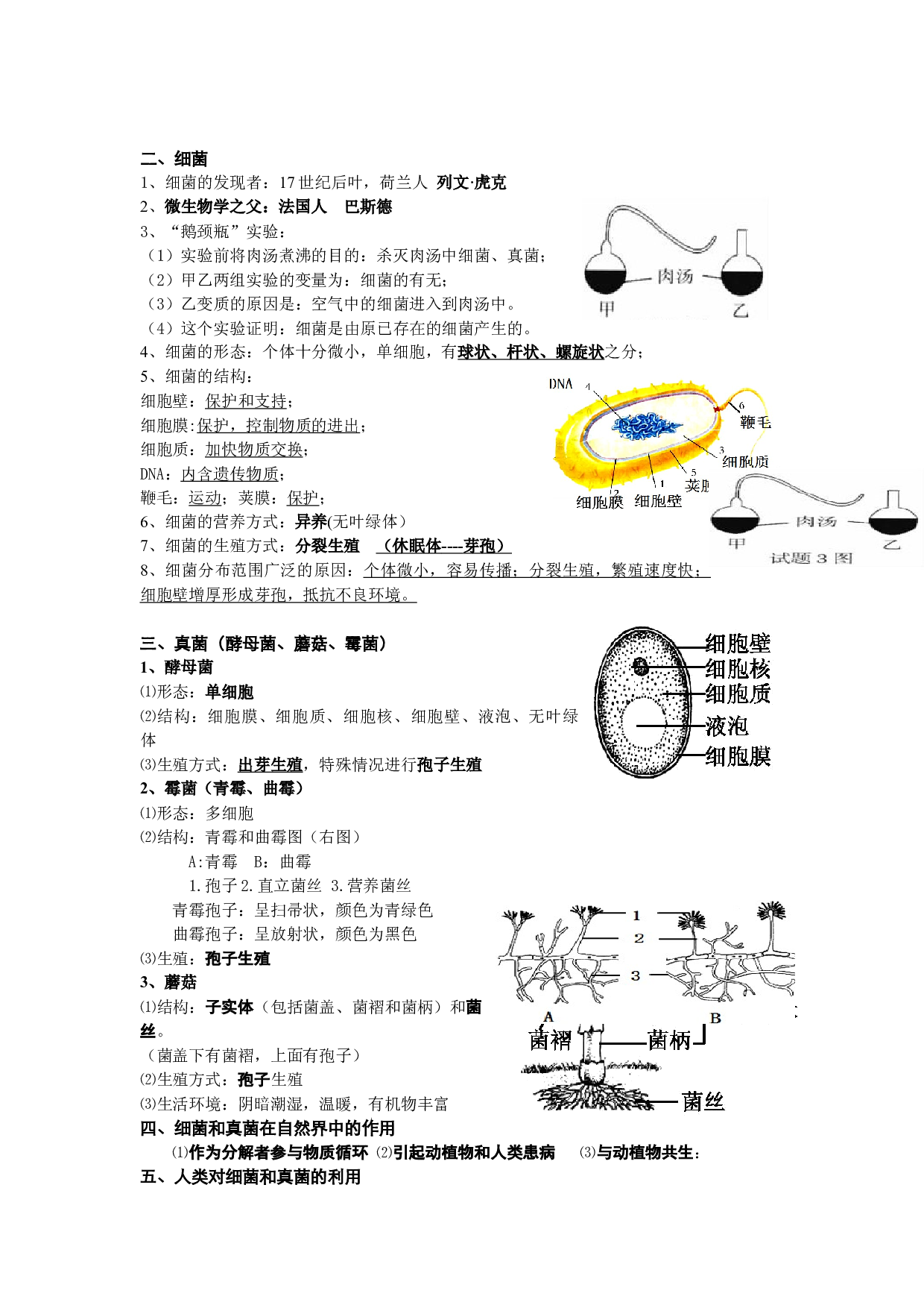 第四、五章 细菌、真菌和病毒（知识清单）-2023-2024学年八年级生物上学期期中考点大串讲（人教版）.docx 第2页