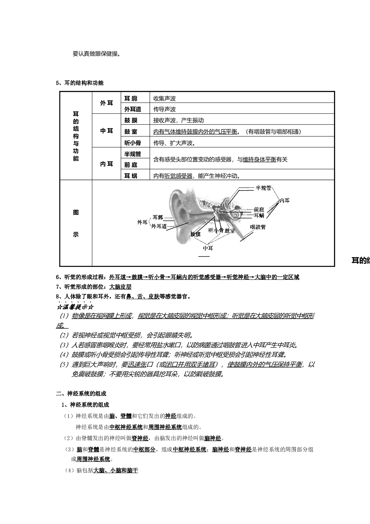 第六章 人体生命活动的调节（知识点梳理）-2022-2023学年七年级生物下学期期中期末考点大串讲（人教版）.docx 第2页