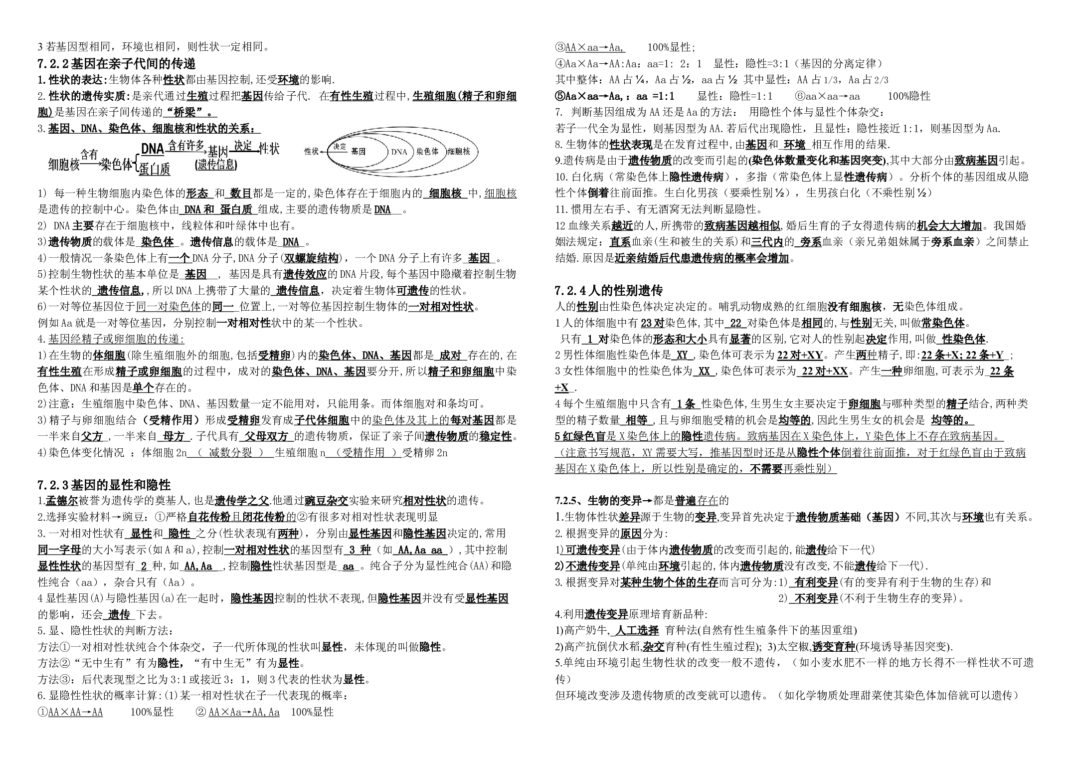 八年级下册复习提纲-备战2024年中考生物高效复习知识梳理（人教版）.docx 第2页