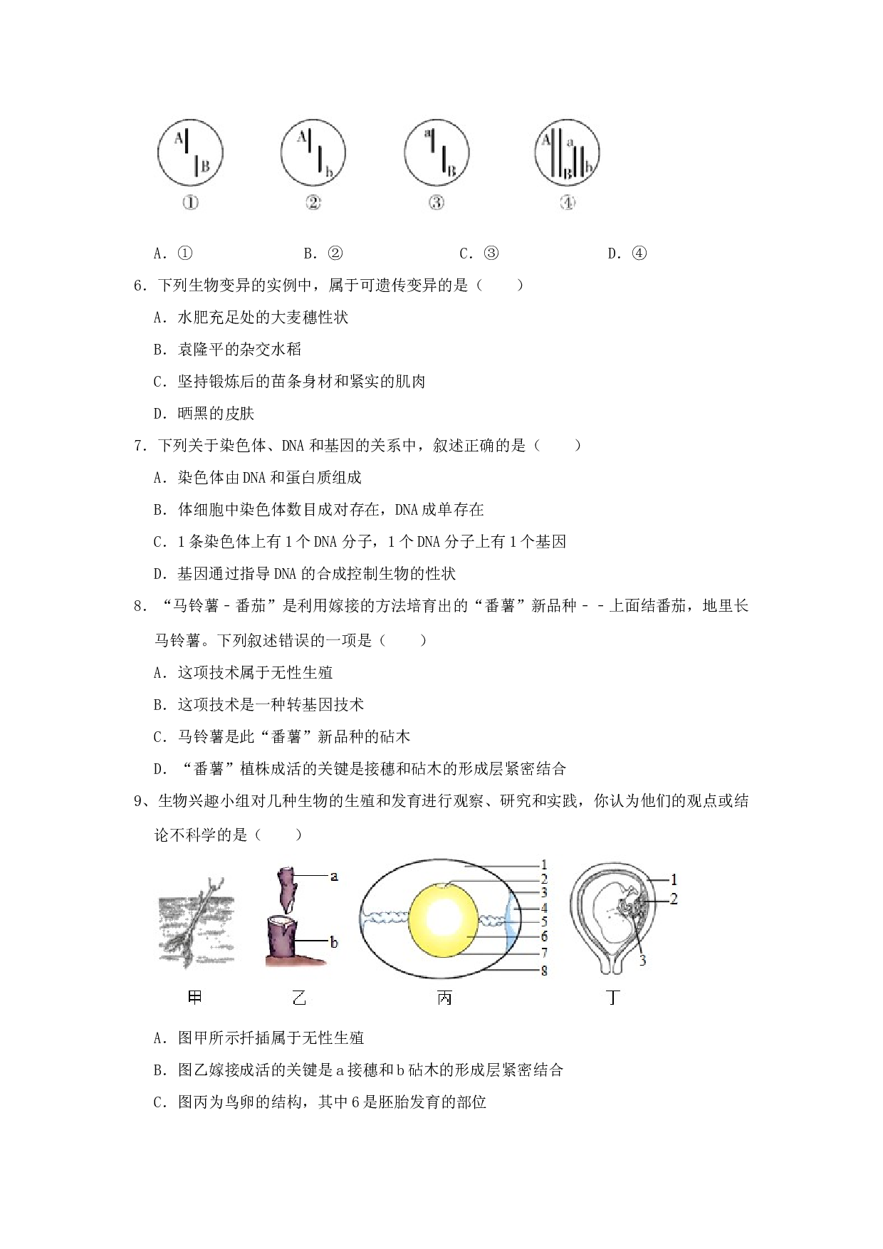 2023年生物中考一轮复习专题精华卷（七）生物的生殖发育和遗传.docx 第2页