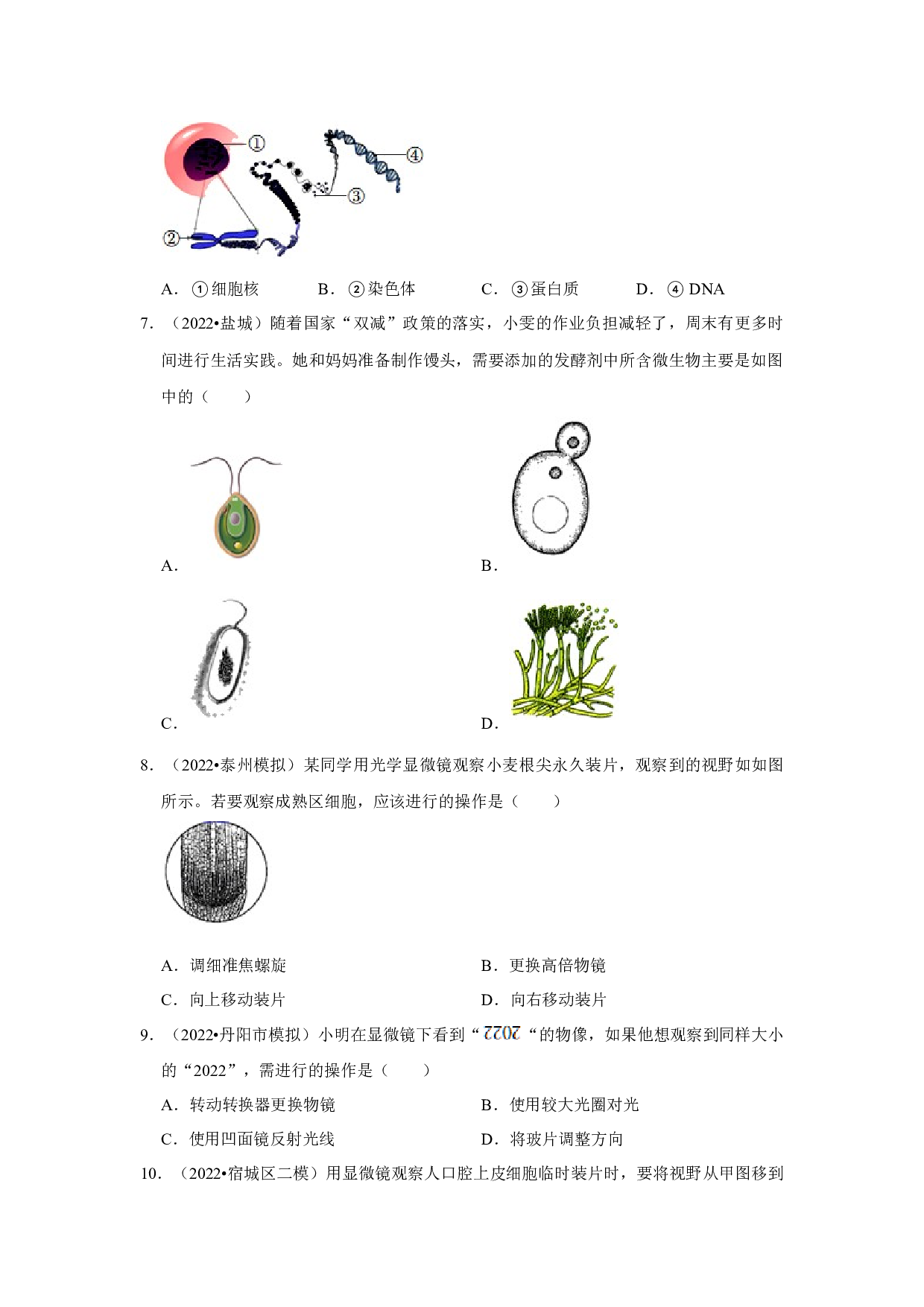 2023年江苏省中考生物第一轮复习卷：1细胞.docx 第2页