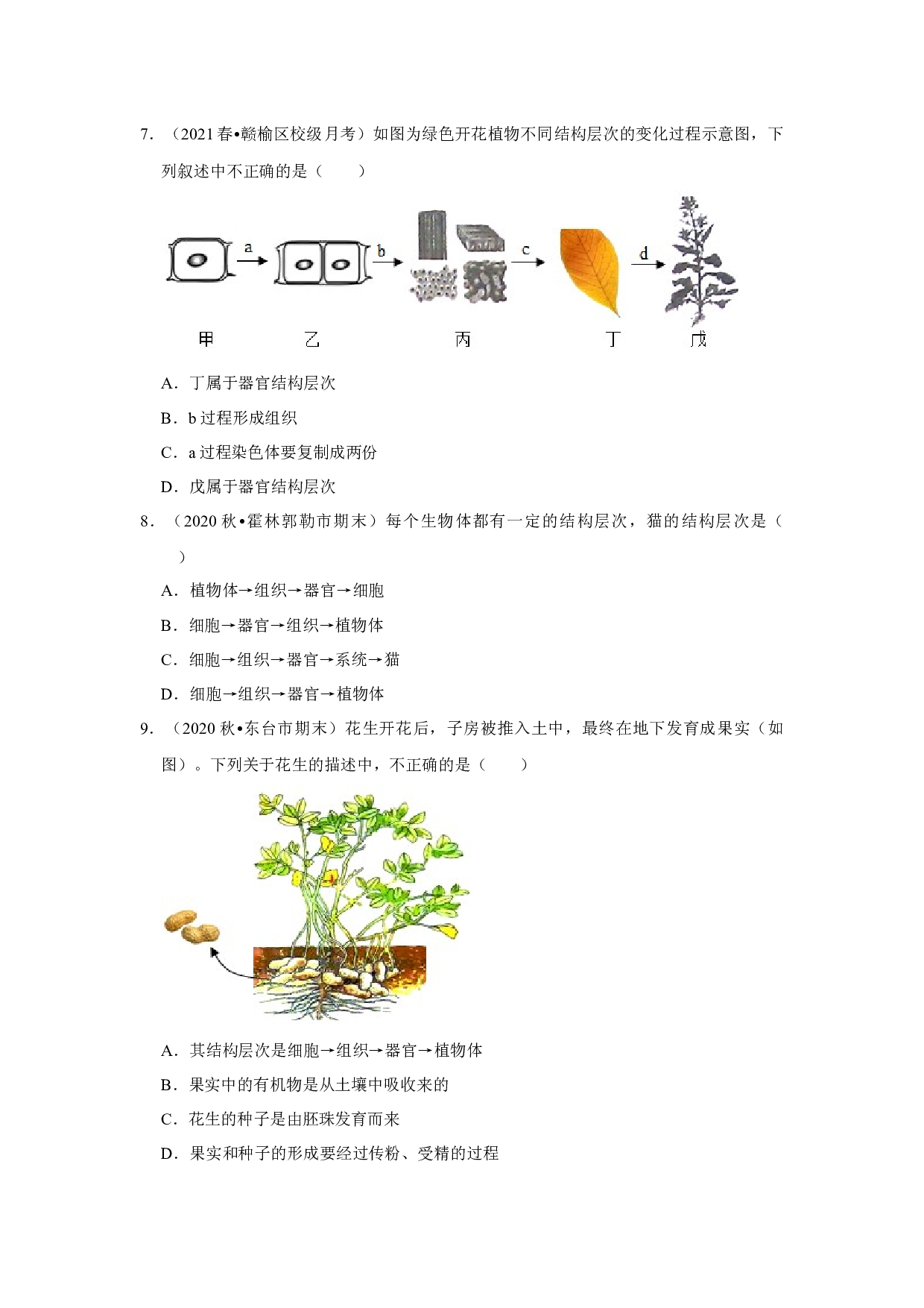 2021年江苏省中考生物复习专练&mdash;&mdash;专题3生命体的结构层次.docx 第2页