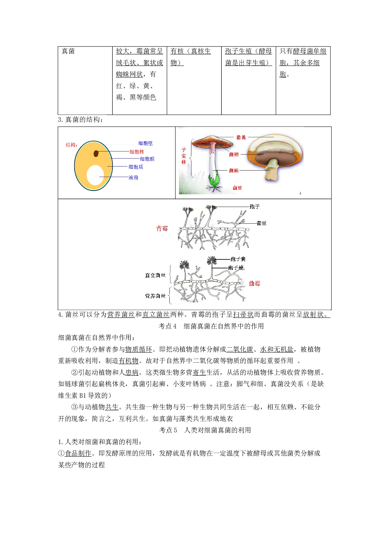 专题14 生物圈中的微生物（知识帮）-备战2023年中考生物一轮复习考点帮（全国通用）.docx 第2页