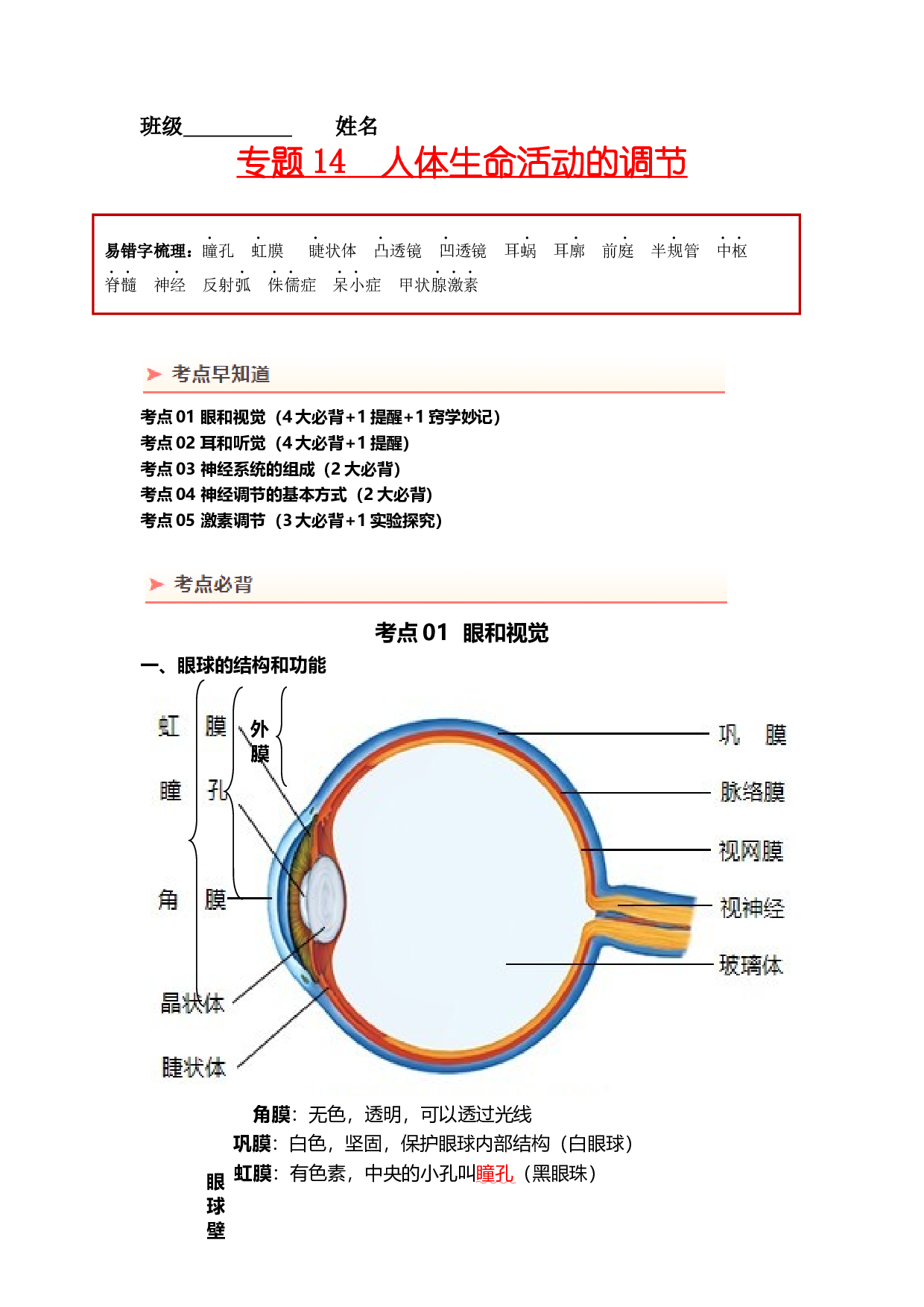专题14 人体生命活动的调节（背记帮）-备战2024年中考生物一轮复习考点帮.docx 第1页