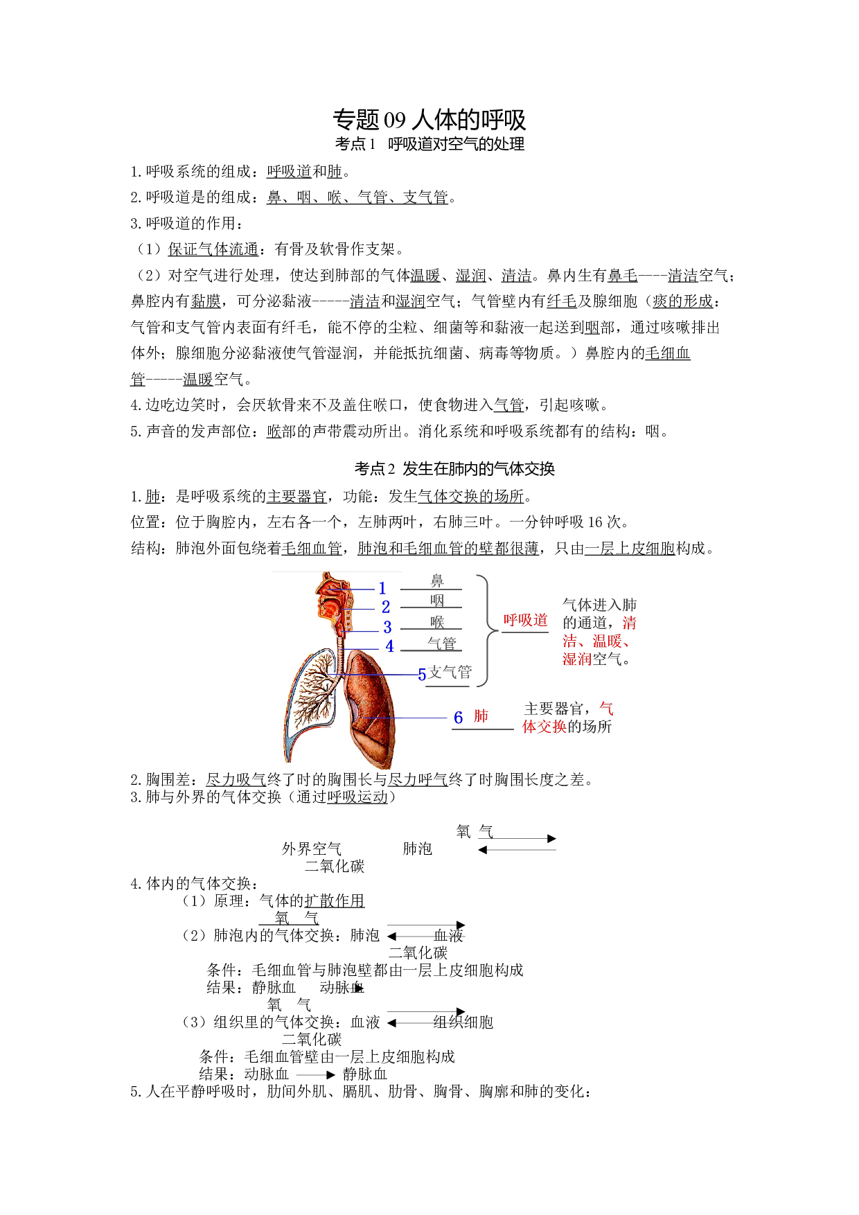 专题09人体的呼吸（知识帮）-备战2023年中考生物一轮复习考点帮（全国通用）.docx 第1页