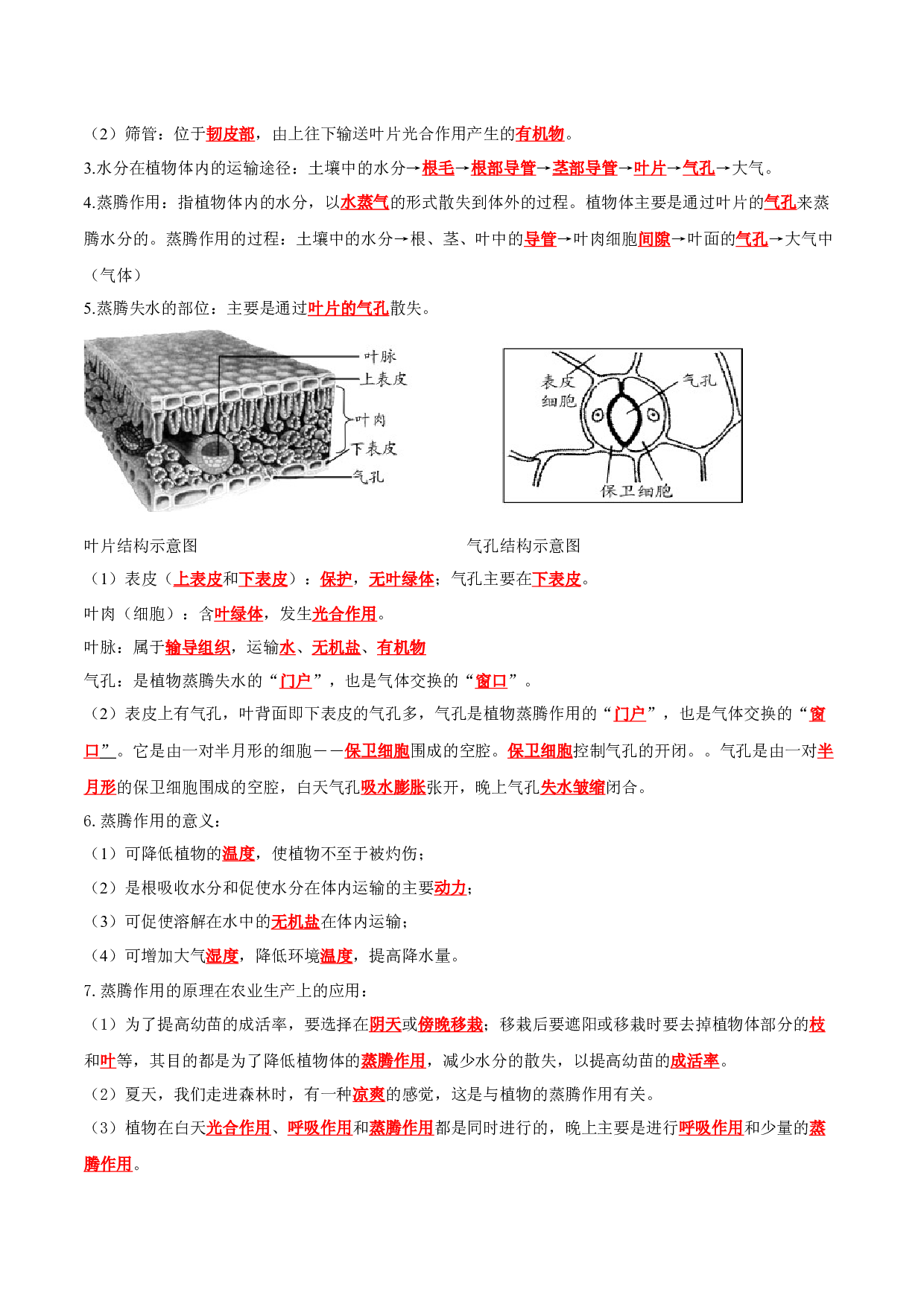 专题07 绿色植物与生物圈的水循环（知识清单）- 2023-2024学年七年级生物上学期期末考点大串讲（人教版）.docx 第2页