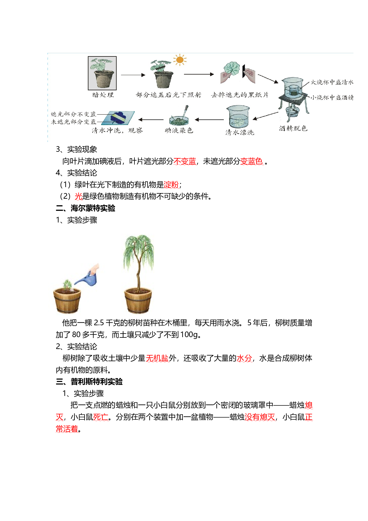 专题07 绿色植物的光合作用（背记帮）-备战2024年中考生物一轮复习考点帮.docx 第2页