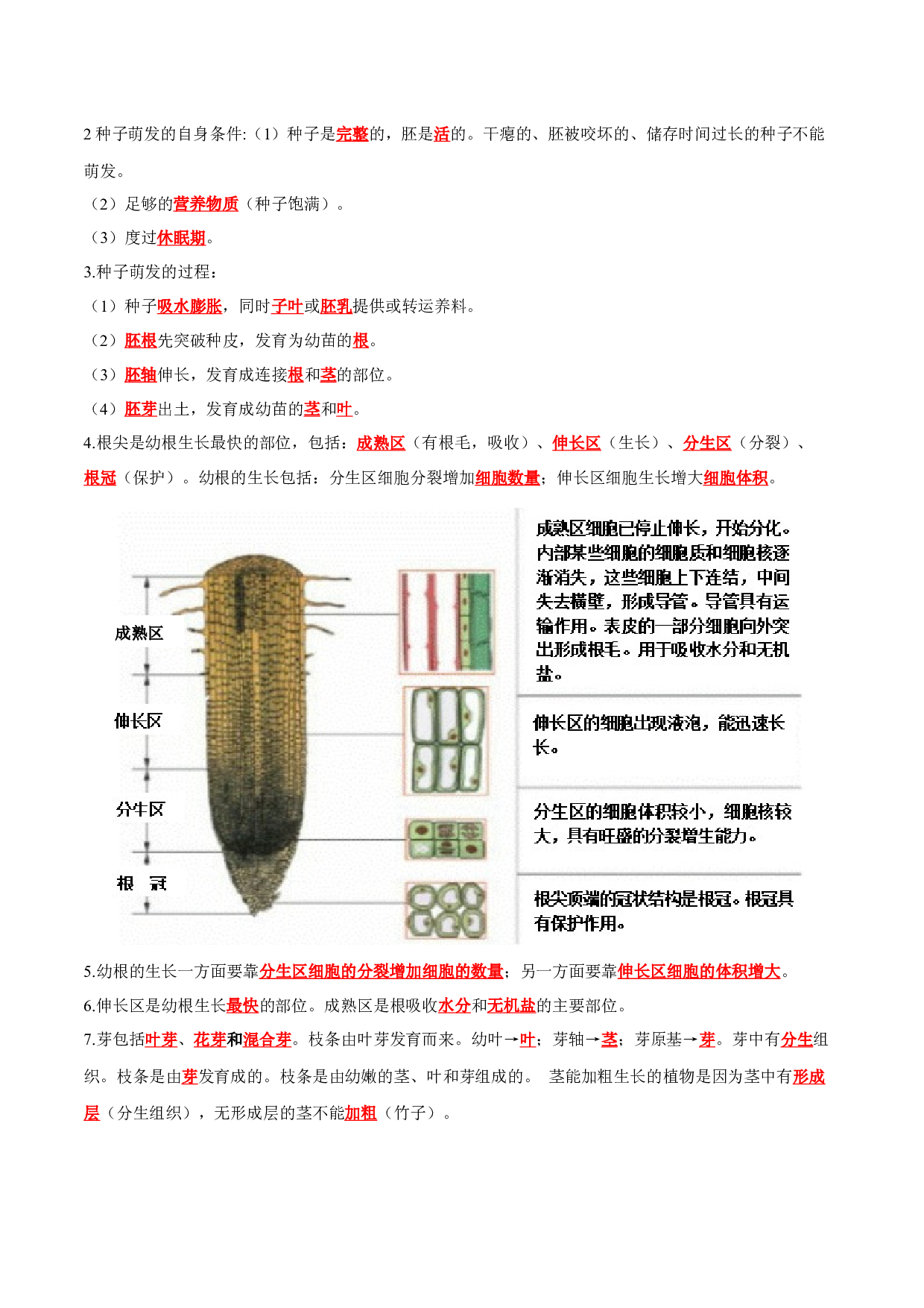 专题06 被子植物的一生（知识清单）- 2023-2024学年七年级生物上学期期末考点大串讲（人教版）.docx 第2页