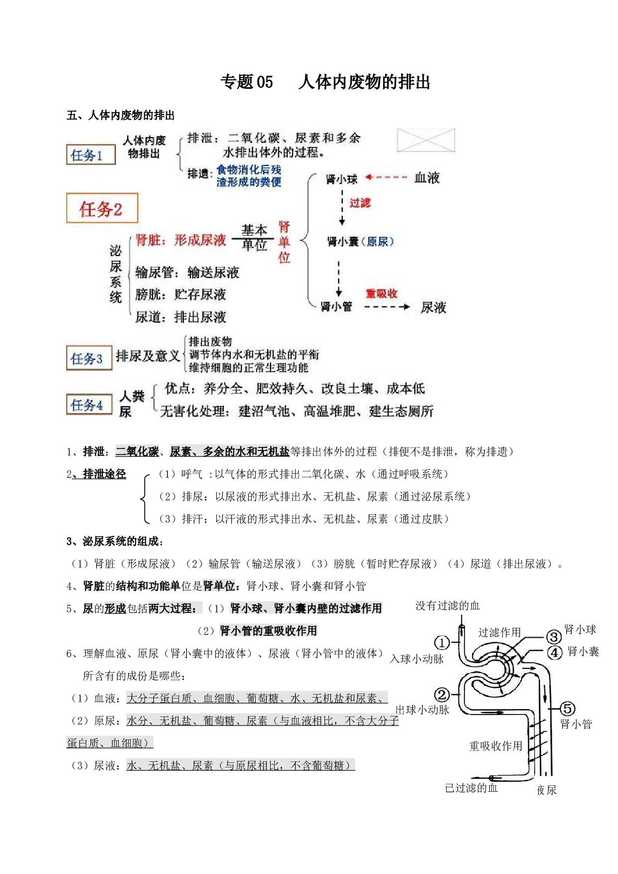 专题05 人体内废物的排出（知识梳理）-2020-2021学年期七年级下册生物期末考点大串讲（人教版).doc 第1页