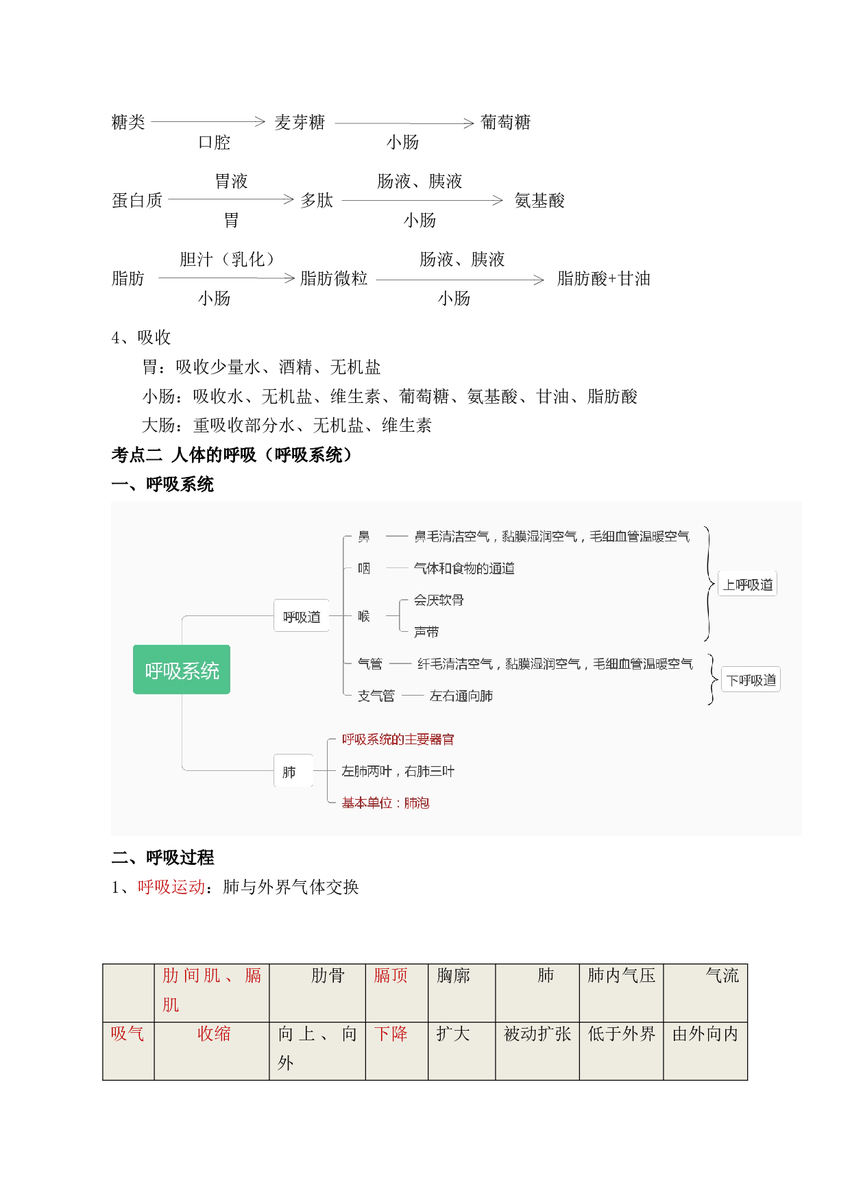 专题五 人体生理与健康-【赢战中考&middot;核心背记】备战2023年中考生物重点内容核心背记.docx 第2页