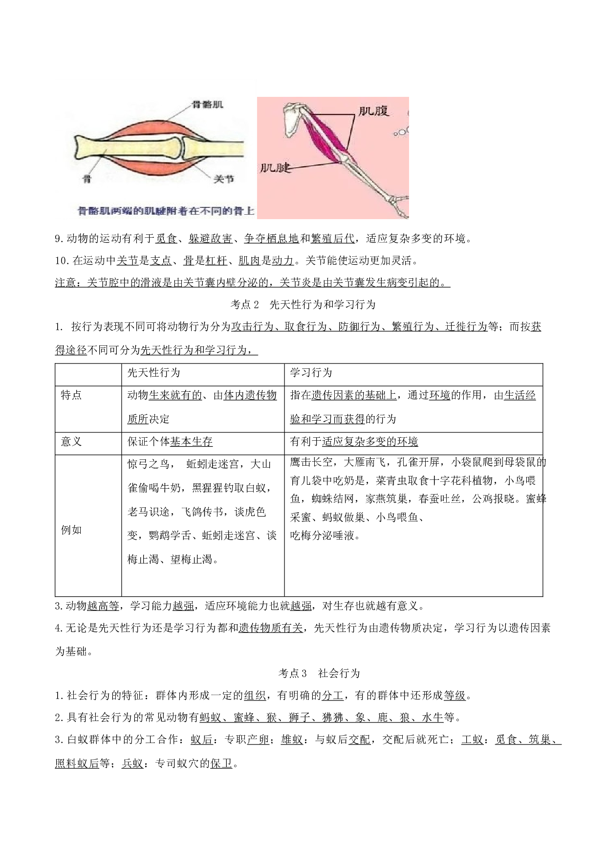 专题13 动物的运动和行为（知识帮）-备战2023年中考生物一轮复习考点帮（全国通用）.docx 第2页