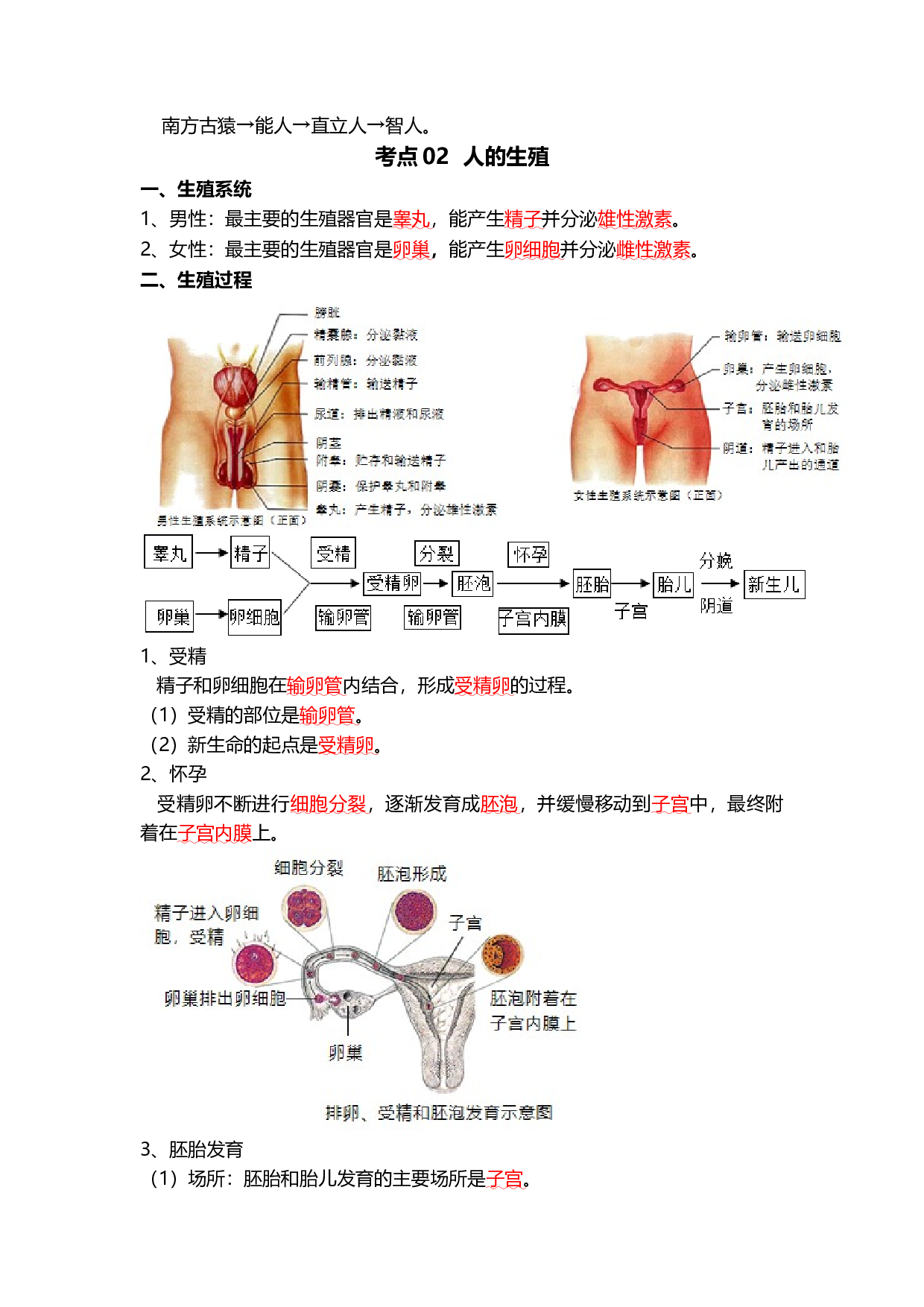 专题09 人的由来（背记帮）-备战2024年中考生物一轮复习考点帮.docx 第2页