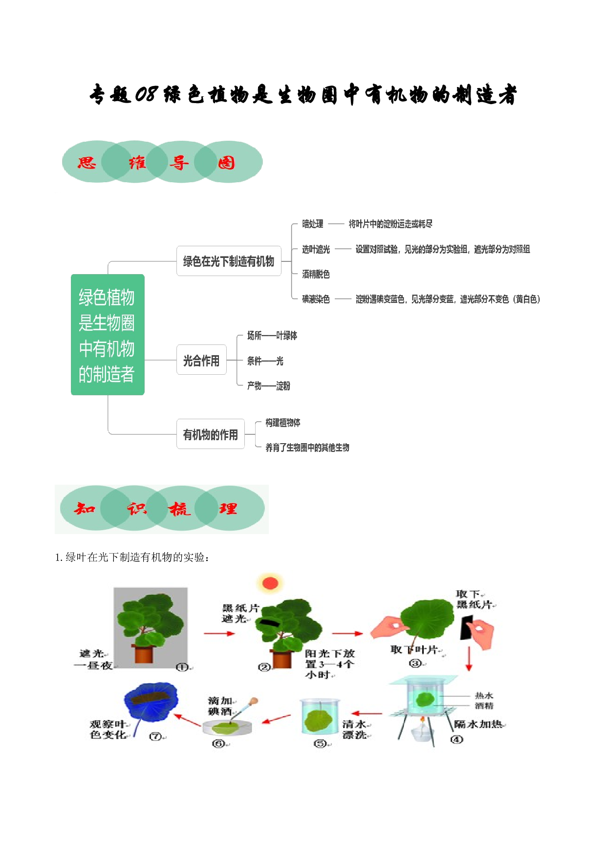专题08 绿色植物是生物圈中有机物的制造者（知识清单）- 2023-2024学年七年级生物上学期期末考点大串讲（人教版）.docx 第1页