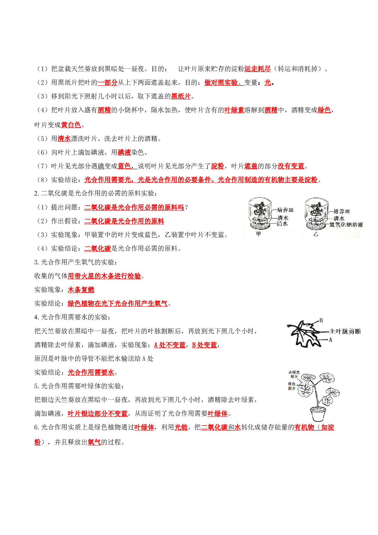 专题08 绿色植物是生物圈中有机物的制造者（知识清单）- 2023-2024学年七年级生物上学期期末考点大串讲（人教版）.docx 第2页
