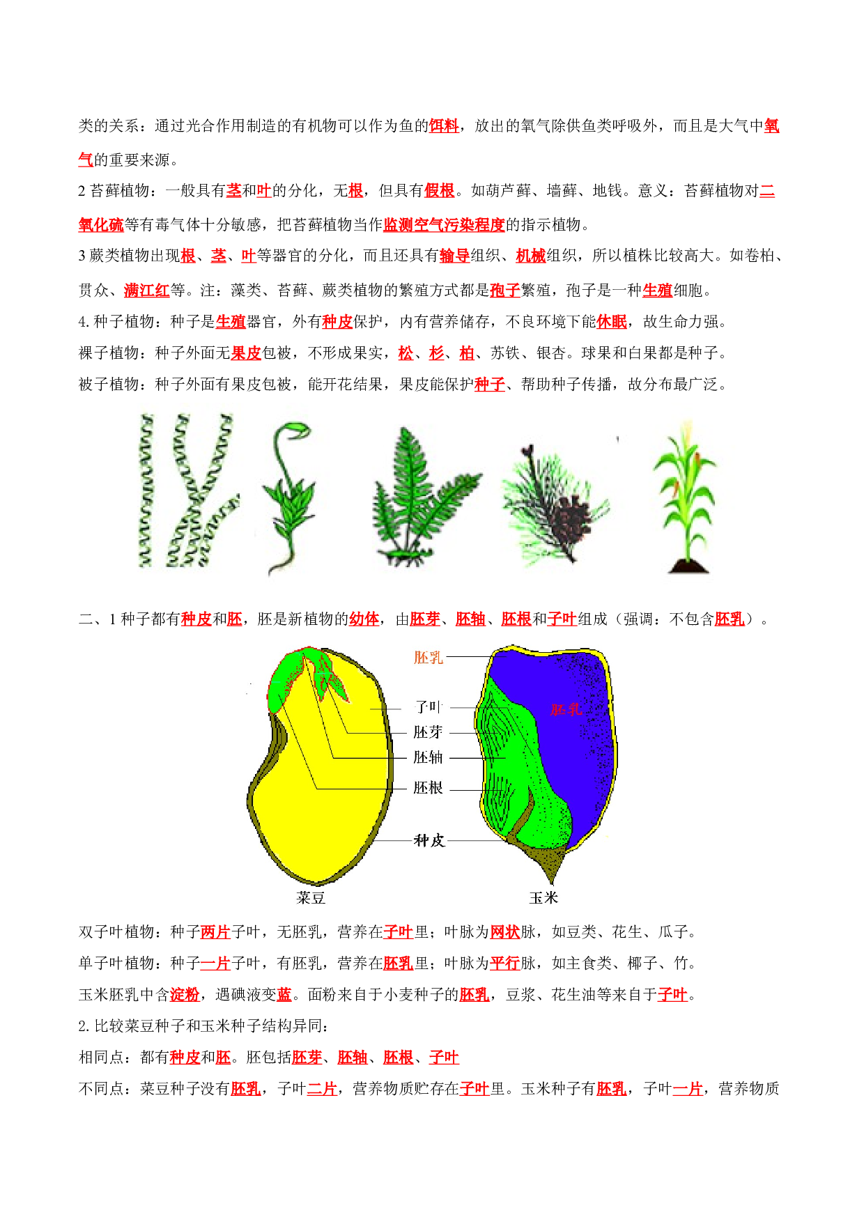 专题05 生物圈中有哪些绿色植物（知识清单）- 2023-2024学年七年级生物上学期期末考点大串讲（人教版）.docx 第2页
