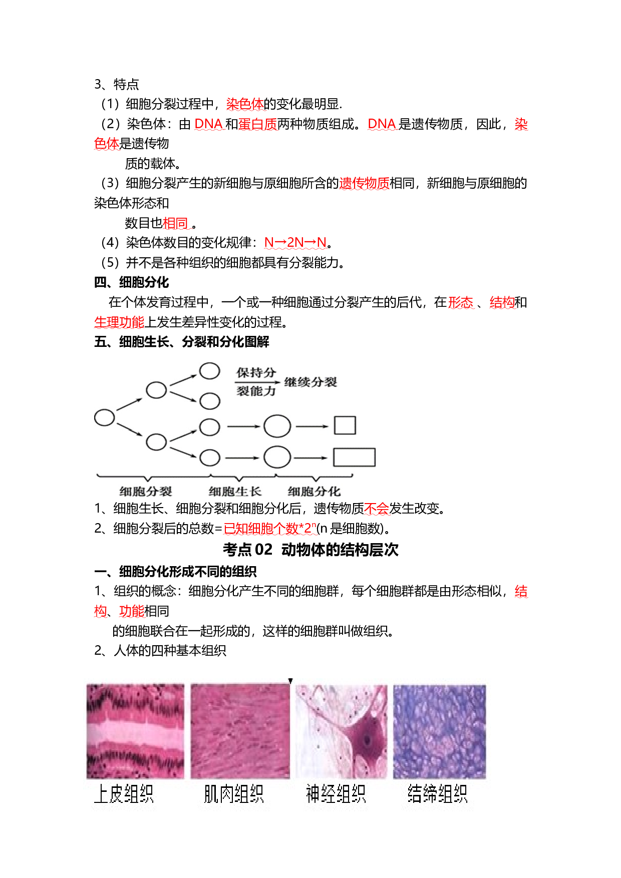 专题03 细胞怎样构成生物体（背记帮）-备战2024年中考生物一轮复习考点帮.docx 第2页