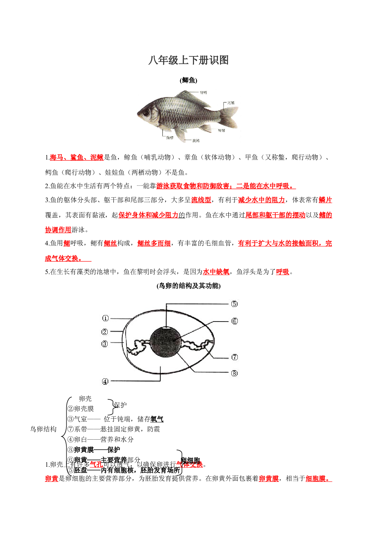 八年级上下册识图知识突破-备战2024年中考生物复习重点难点易错点提分法宝.docx 第1页