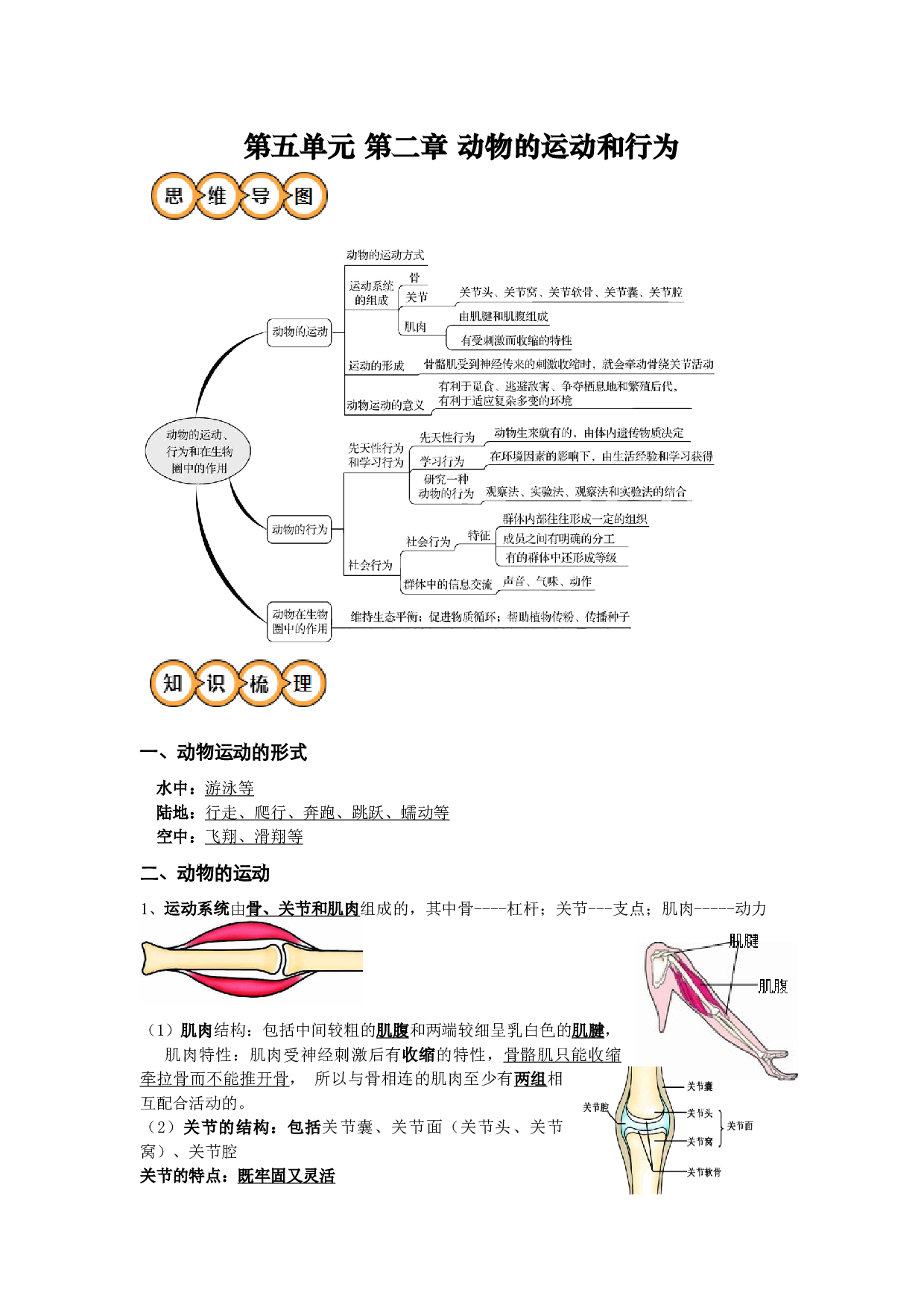 第二、三章 动物的运动和行为及其在生物圈中的作用（知识清单）-2023-2024学年八年级生物上学期期中考点大串讲（人教版）.docx 第1页