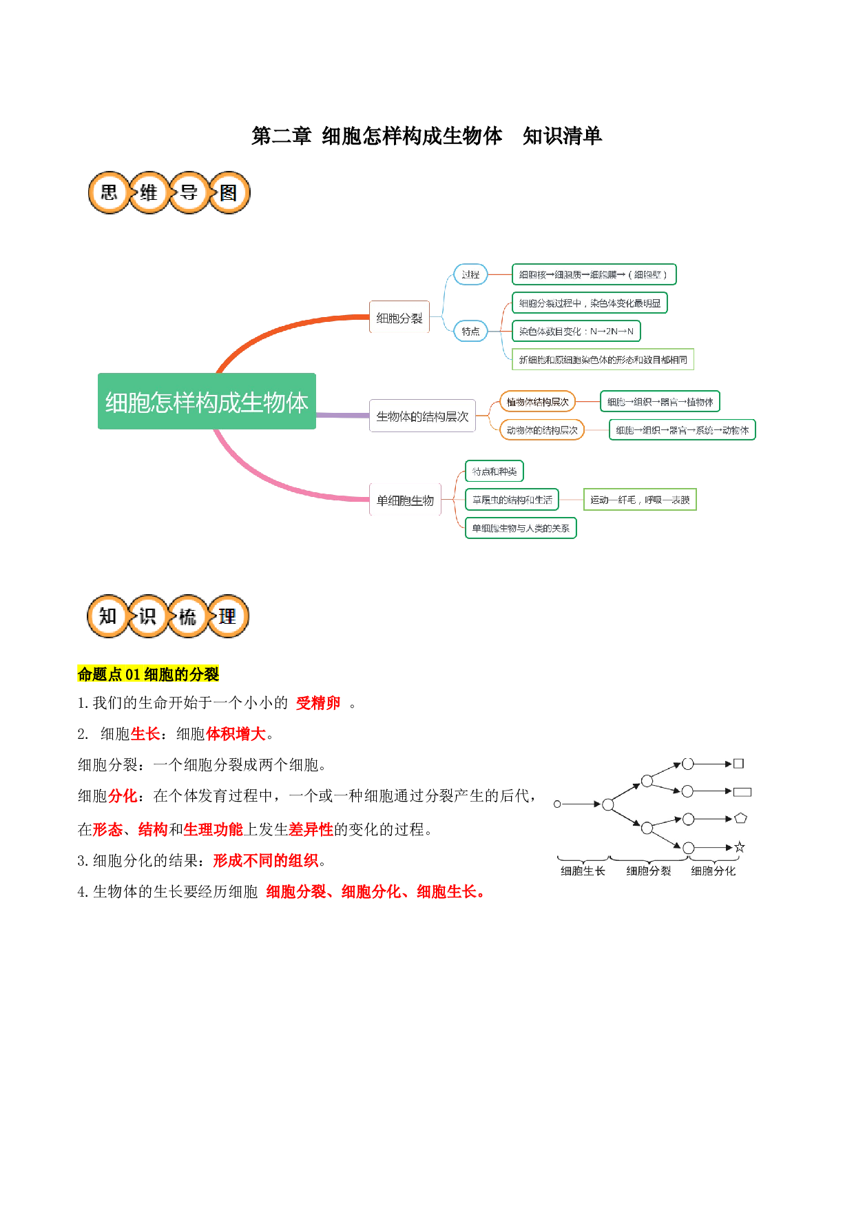 第二章 细胞怎样构成生物体（知识清单）-2023-2024学年七年级生物上学期期中考点大串讲（人教版）.docx 第1页