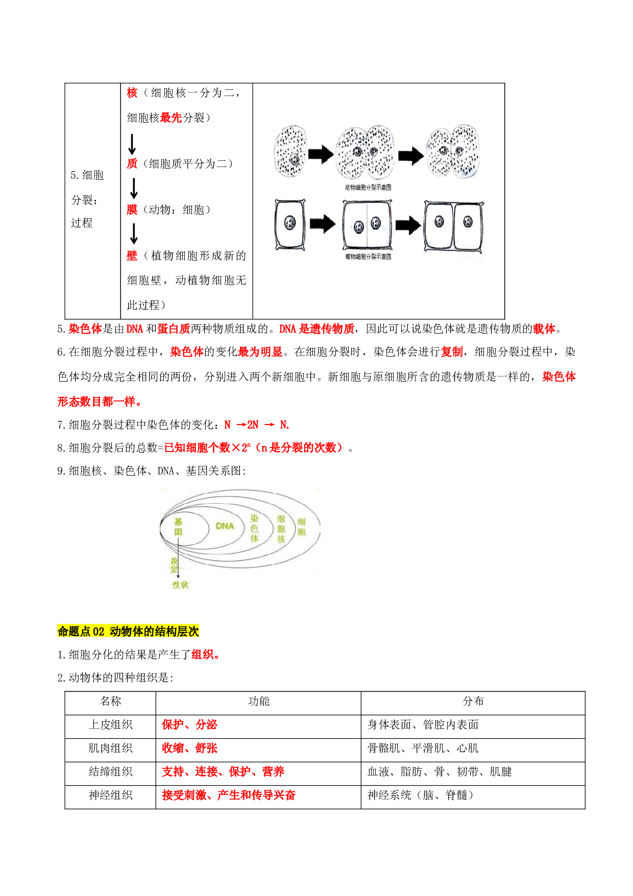 第二章 细胞怎样构成生物体（知识清单）-2023-2024学年七年级生物上学期期中考点大串讲（人教版）.docx 第2页