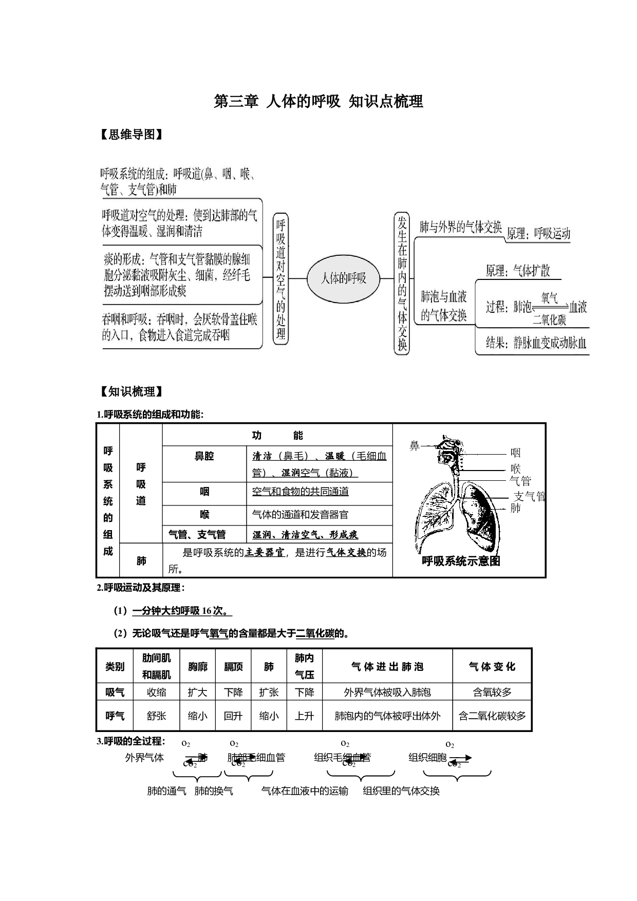 第三章 人体的呼吸（知识点梳理）-2022-2023学年七年级生物下学期期中期末考点大串讲（人教版）.docx 第1页