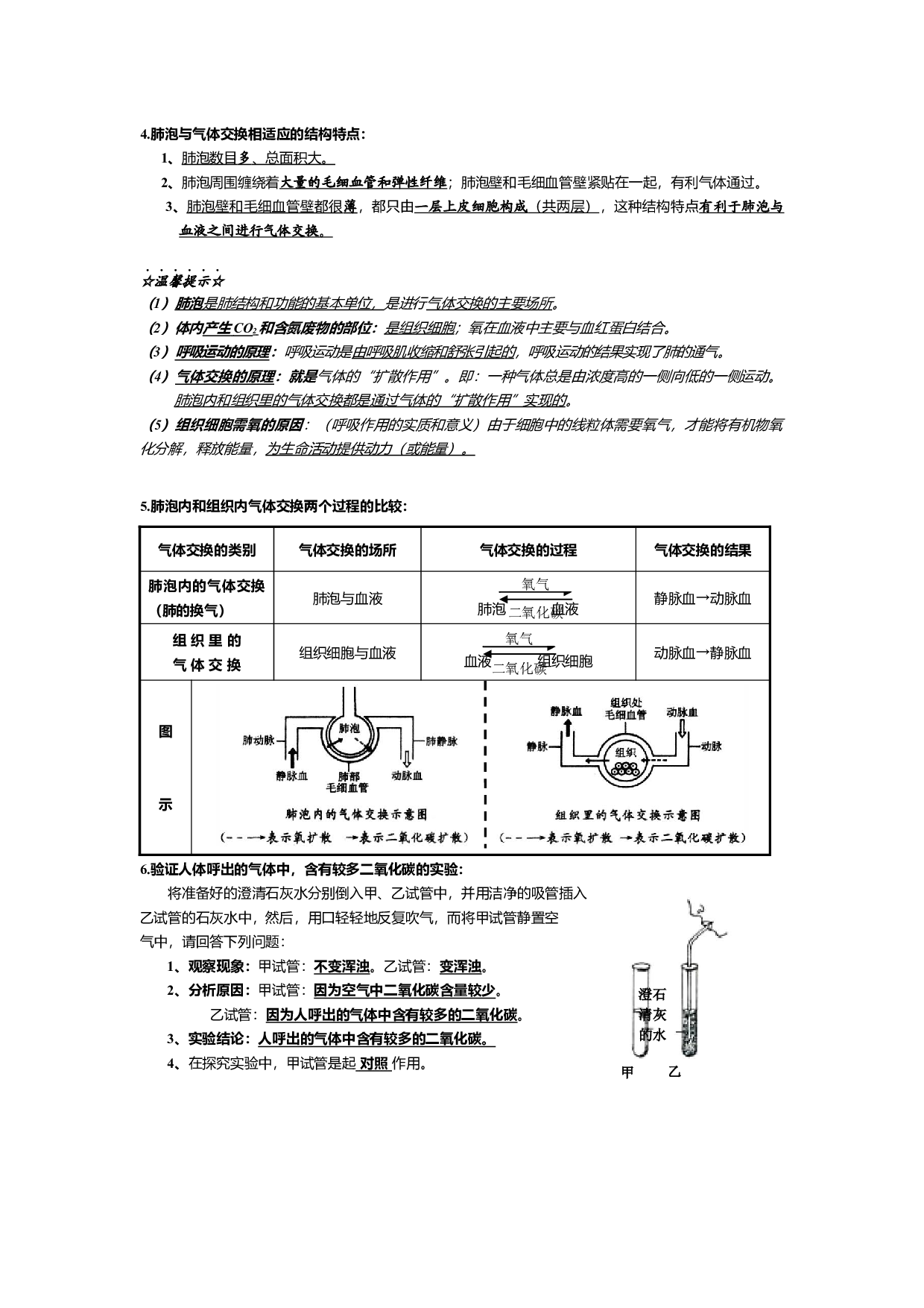 第三章 人体的呼吸（知识点梳理）-2022-2023学年七年级生物下学期期中期末考点大串讲（人教版）.docx 第2页