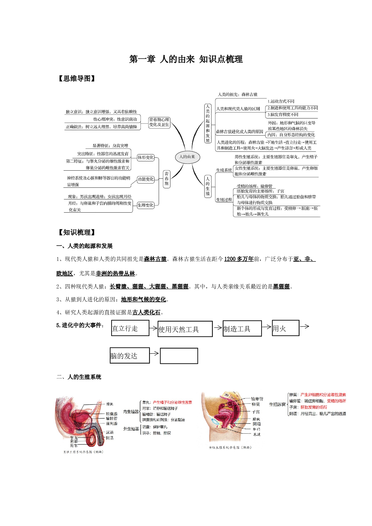 第一章 人的由来（知识点梳理）-2022-2023学年七年级生物下学期期中期末考点大串讲（人教版）.docx 第1页