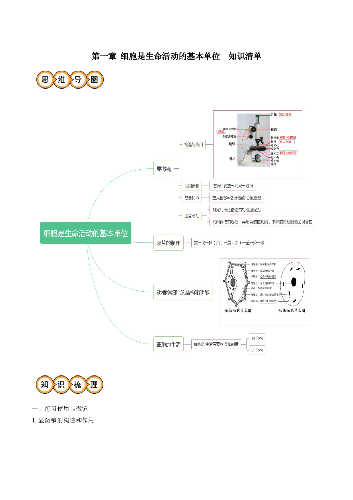 第一章 细胞是生命活动的基本单位（知识清单）-2023-2024学年七年级生物上学期期中考点大串讲（人教版）.docx 第1页