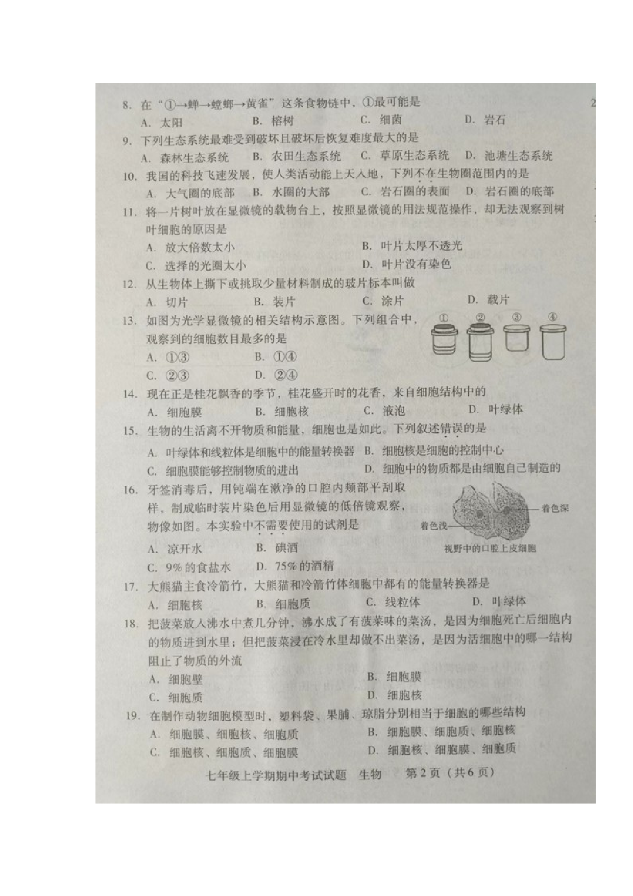 湖南省衡阳市衡南县栗江联合学校2022-2023学年七年级上学期期中考试生物试题.docx 第2页
