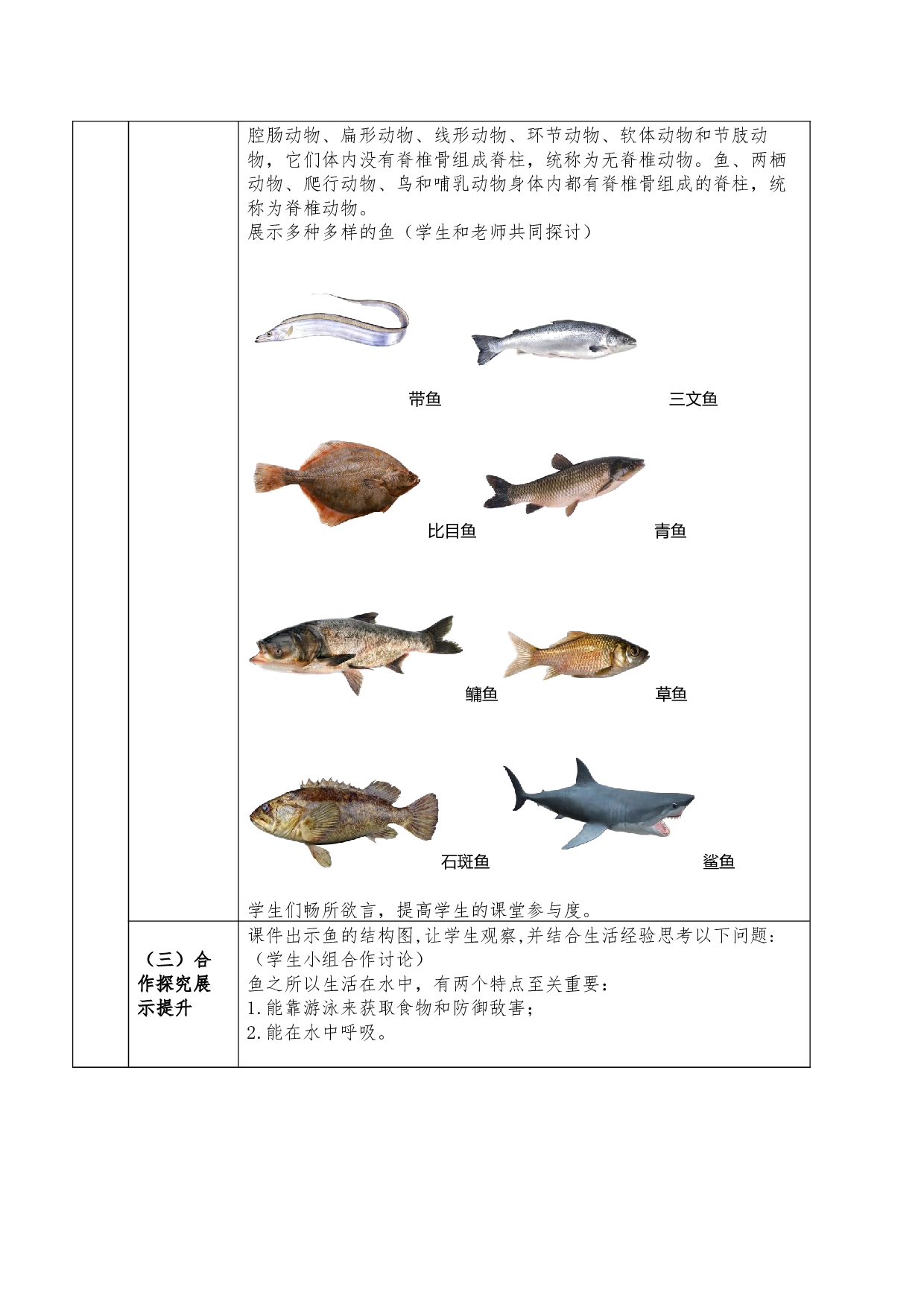 5.1.4 鱼（教学设计）-（hz102试卷）2022-2023学年八年级上册生物同步备课系列（人教版）.docx 第2页