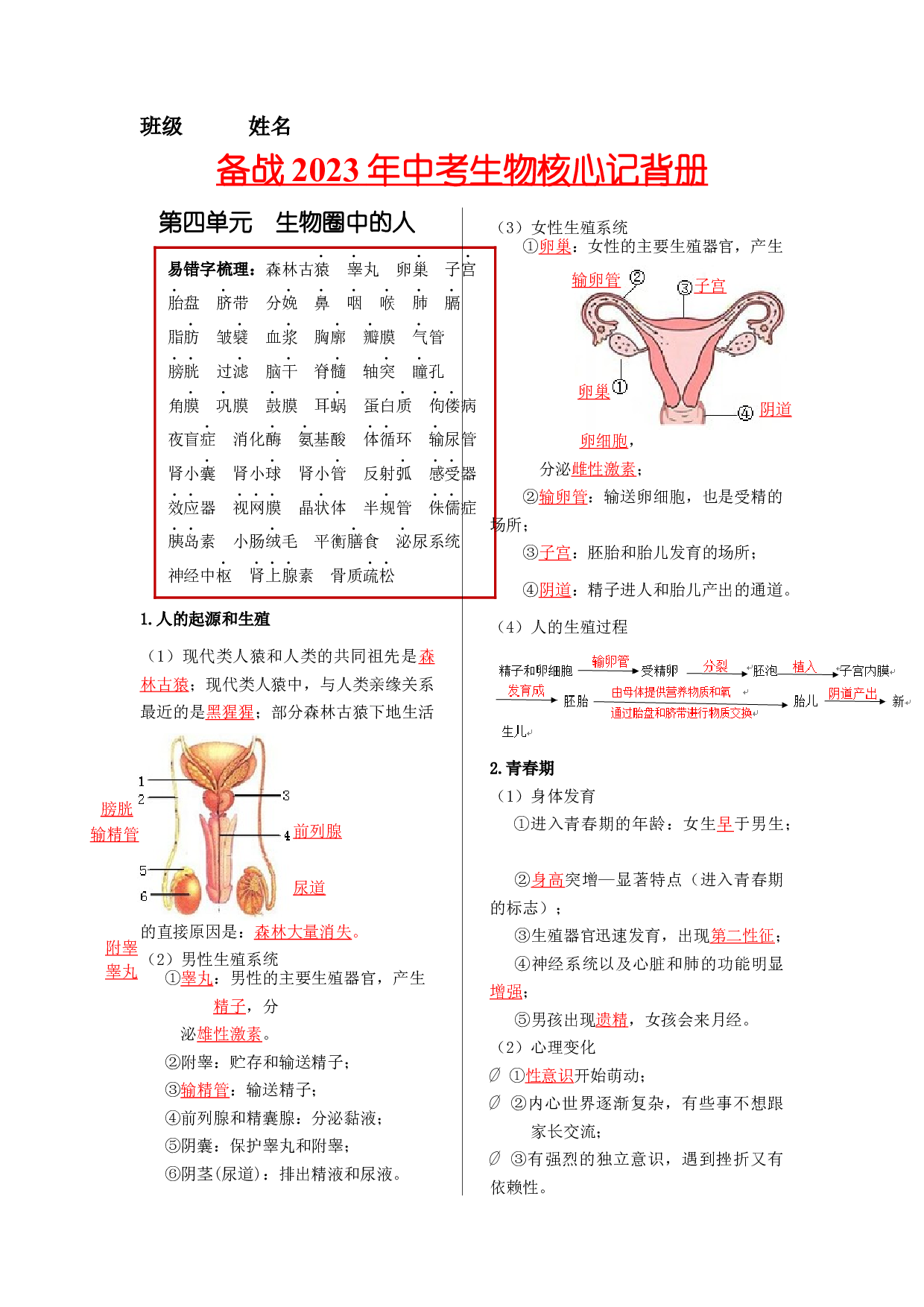 七年级生物下册-【核心记背册】备战2023年中考生物核心考点精华必背.docx 第1页