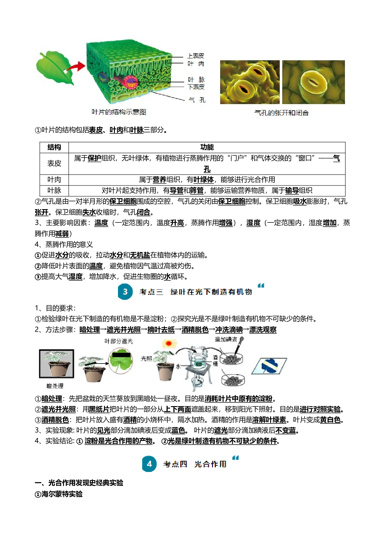 清单04 绿色植物的三大作用（5大考点+5大高频命题点）-2024年中考生物一轮复习知识清单.docx 第2页