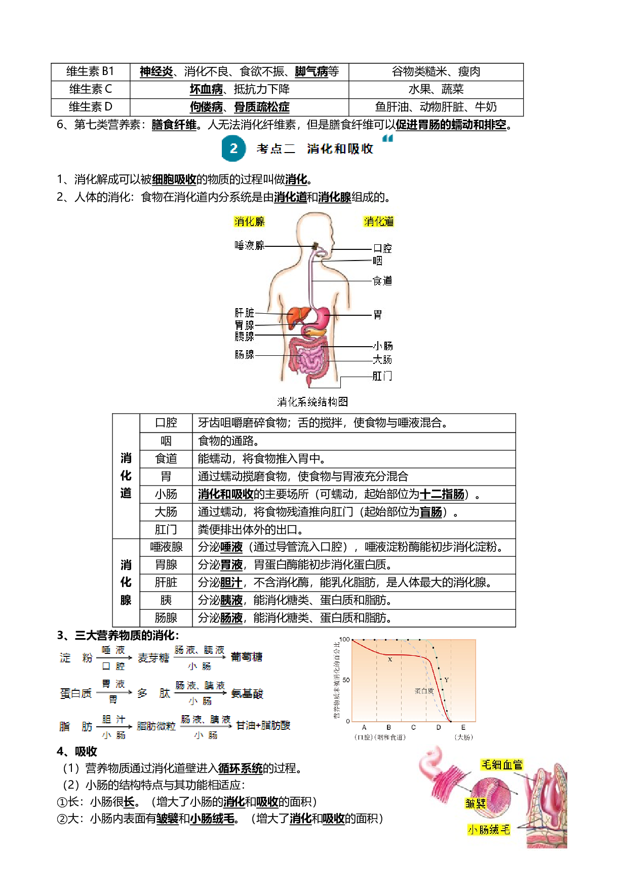 清单05 人体的营养与呼吸（5大考点+5大高频命题点）-2024年中考生物一轮复习知识清单.docx 第2页