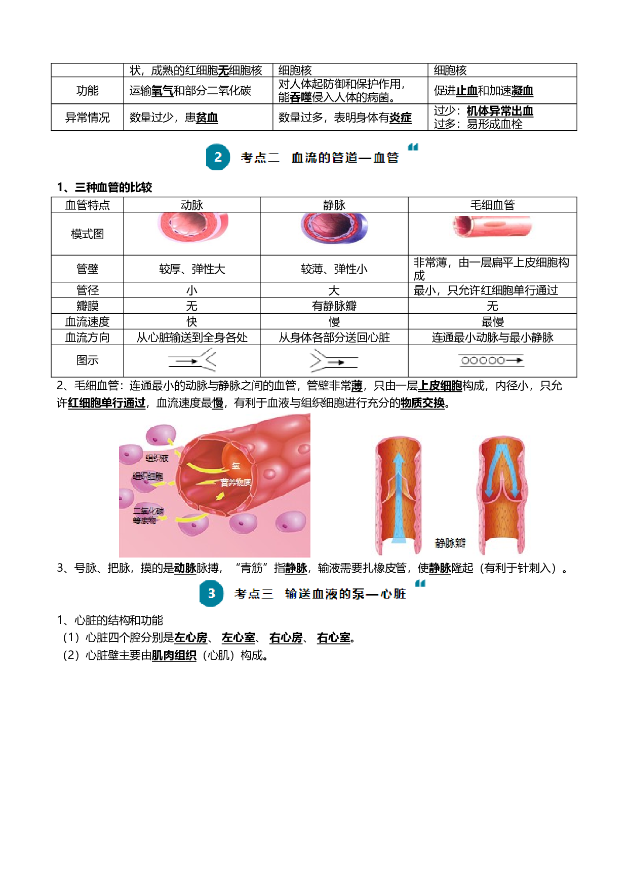 清单06 人体内的物质运输与废物排出（6大考点+6大高频命题点）-2024年中考生物一轮复习知识清单.docx 第2页